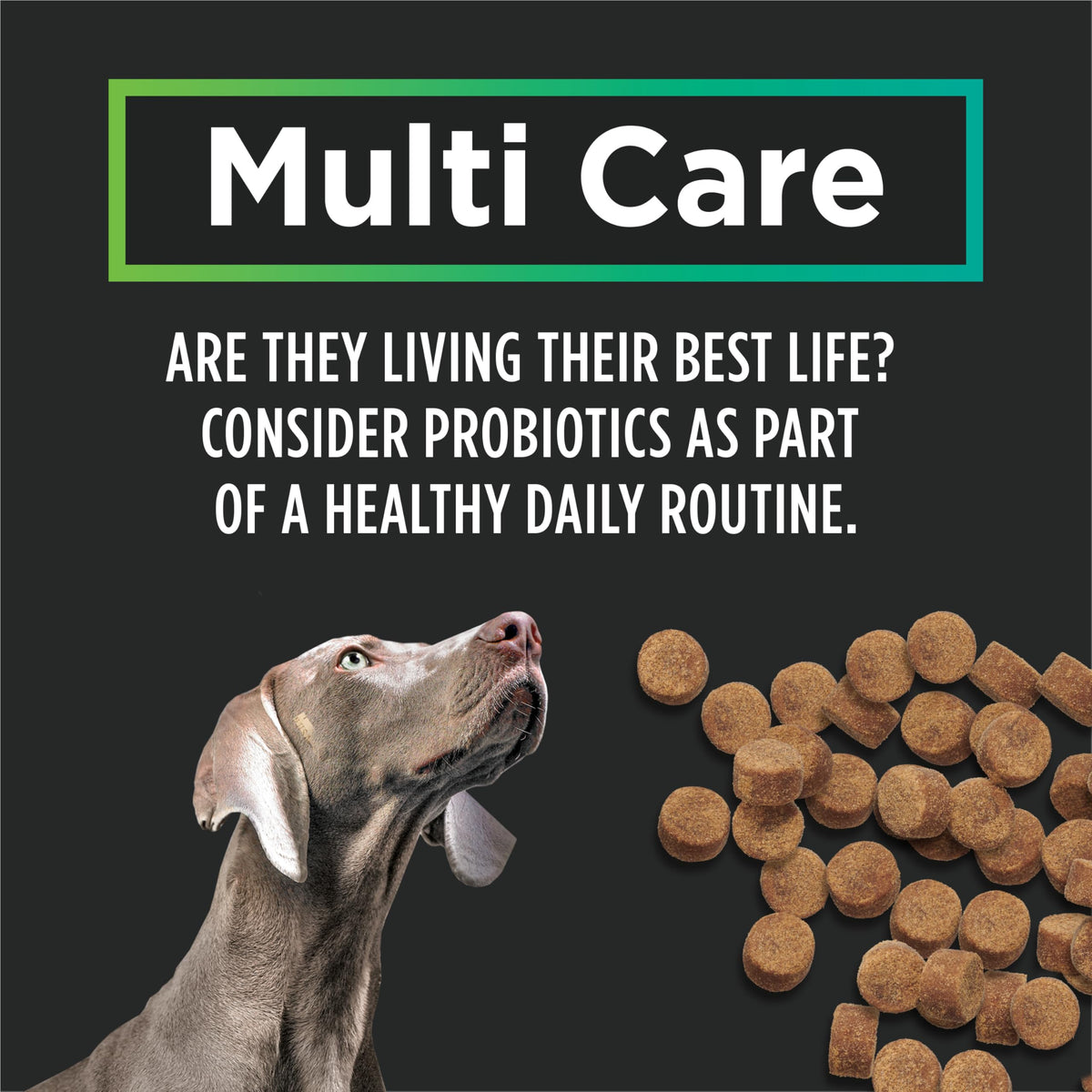 Purina Pro Plan Veterinary Supplements, Mutli Care Dog Chew Probiotic - 150 g (30 Chews) 🍁 All In One Marketplace Canada