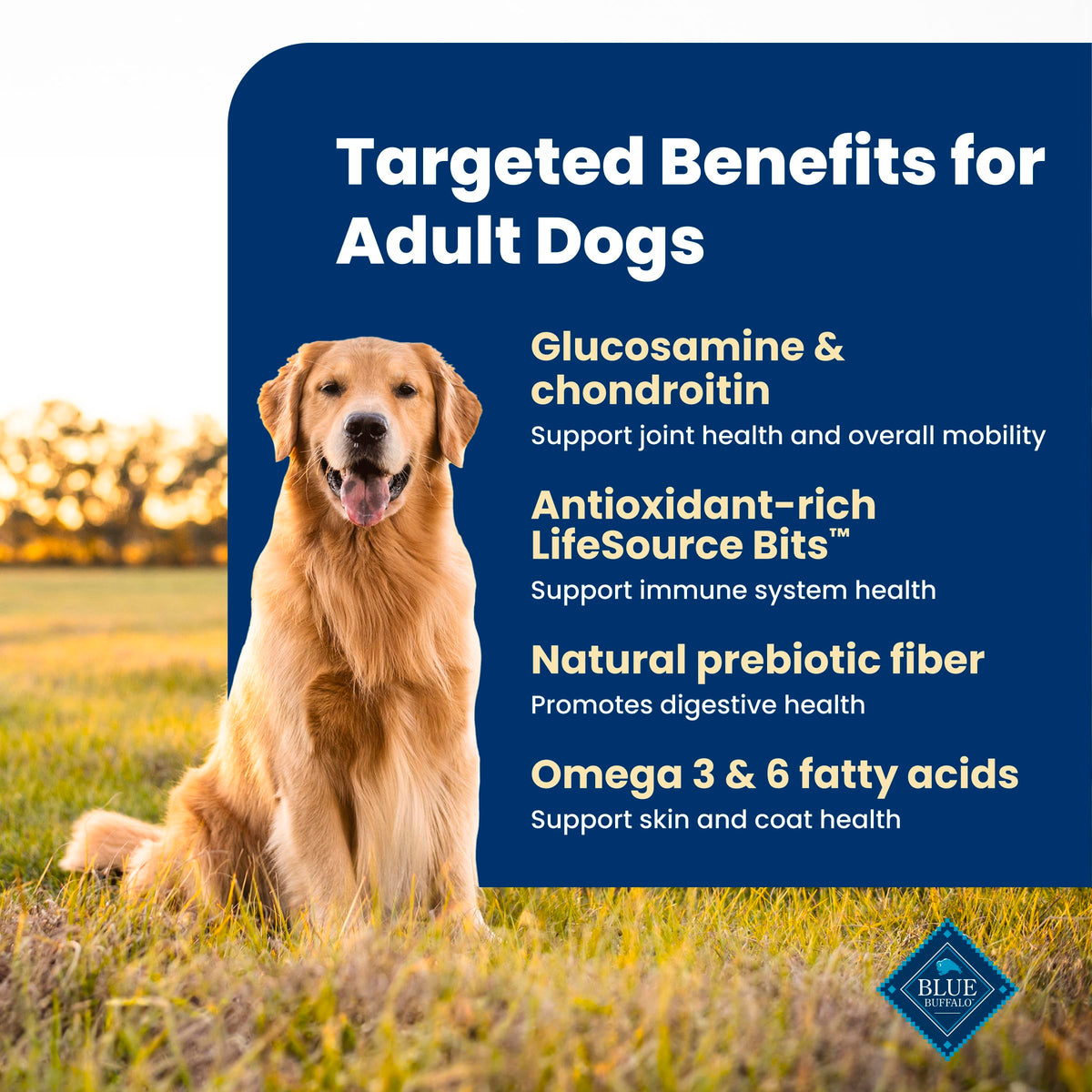 Blue Buffalo Life Protection Formula Adult Dry Dog Food, Helps Build and Maintain Strong Muscles, Made with Natural Ingredients, Fish & Brown Rice Recipe, 11.7kg/26lbs Bag 🍁 All In One Marketplace Canada