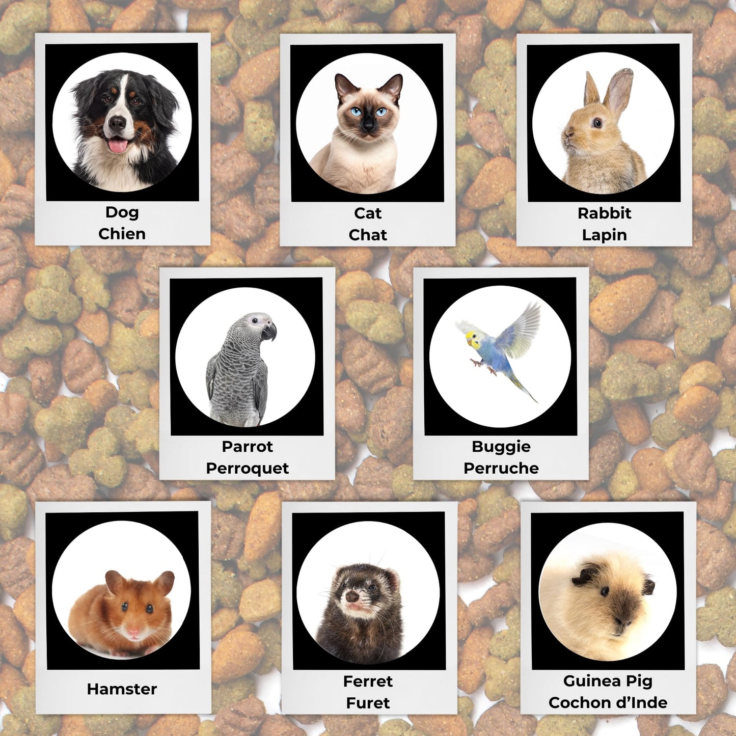 Starfrit LocknLock Pet Food Container - 169oz/5L - Airtight - 4-Sided Locking Flip Top Lid 🍁 All In One Marketplace Canada