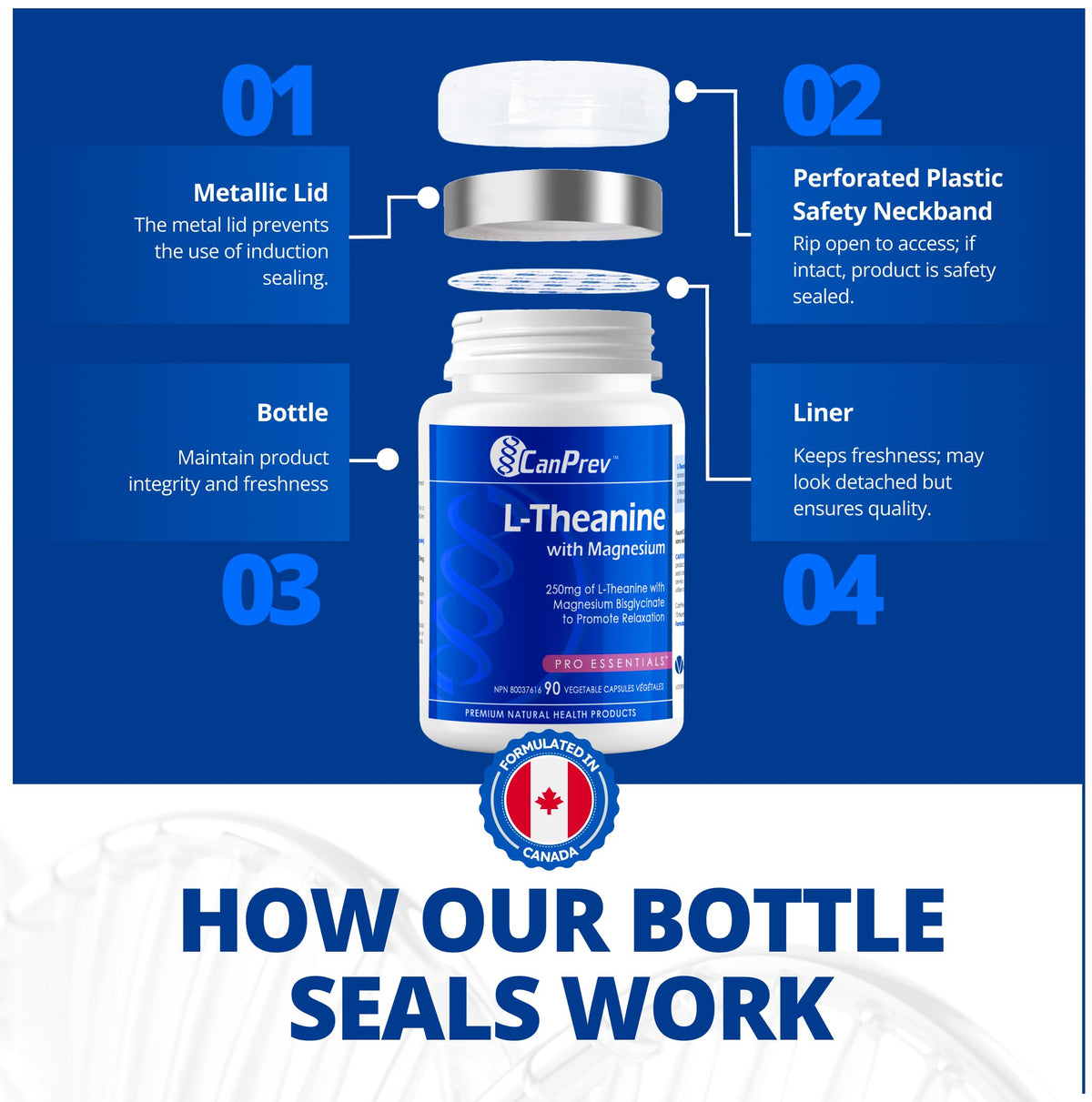 CanPrev L-Theanine with Magnesium, 90 Capsules 90-Day Supply - Promote Relaxation and Calmness - Without Drowsiness - Synergistic Blend for Well-being Management - Vegan, Non-GMO and Gluten-Free 🍁 All In One Marketplace Canada