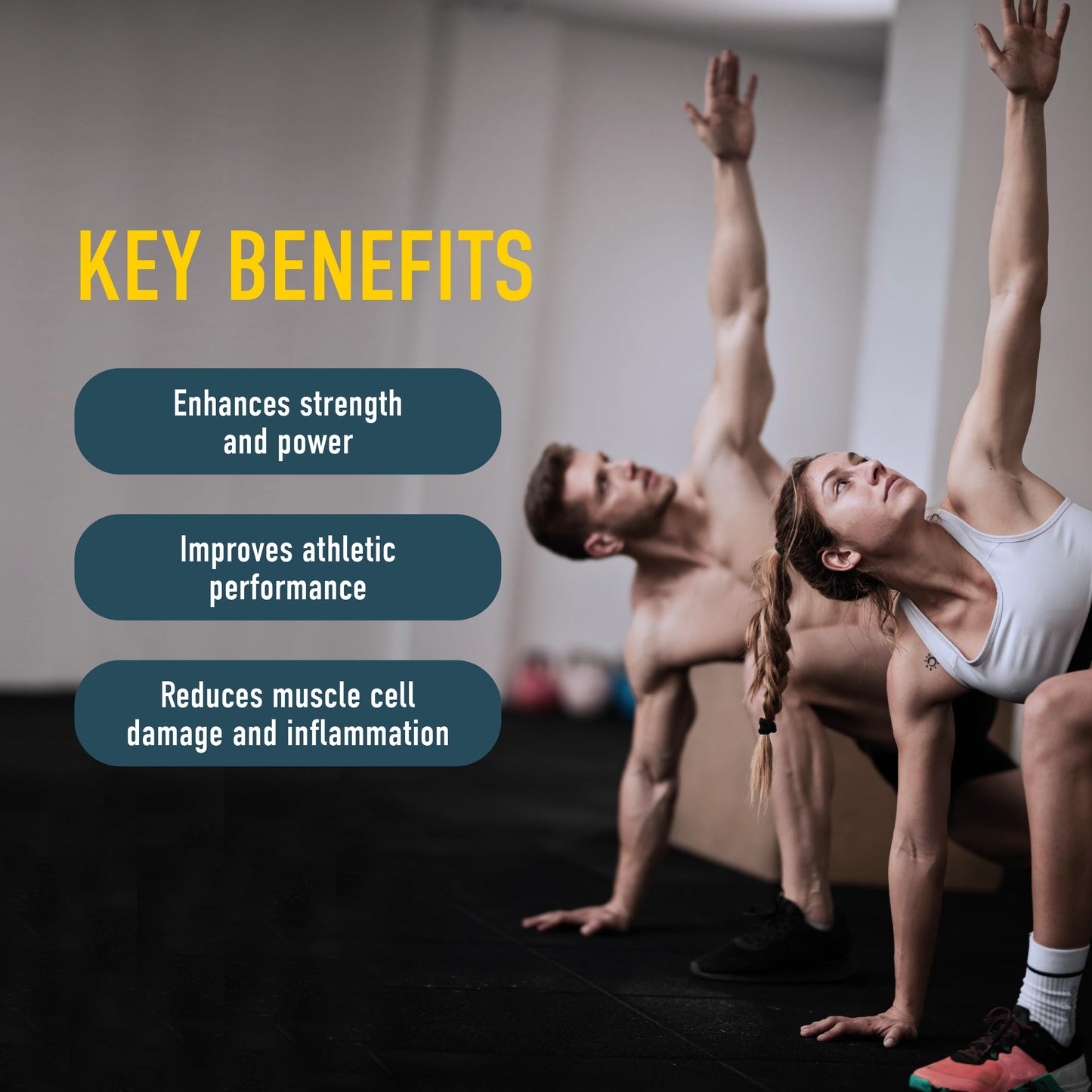 Organika Canadian-Made Creatine Powder- Pure Micronized Creatine Monohydrate - Helps Build Lean Muscle, Increase Strength, and Improved Recovery and Performance for Men and Women- 30 x 5g sachets 🍁 All In One Marketplace Canada