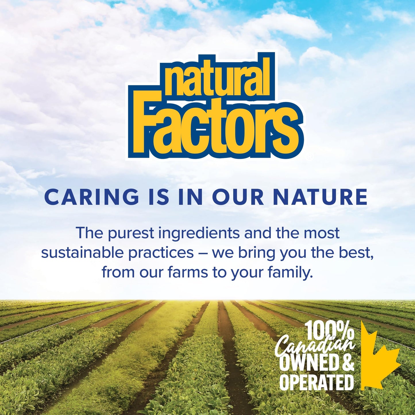 Natural Factors NAC Supplement (N-Acetyl-L-Cysteine), 600 mg, 180 Vegetarian Capsules, VALUE SIZE, Free Form Amino Acid, Helps Restore Glutathione Levels, Antioxidant Support, Proudly Canadian 🍁 All In One Marketplace Canada