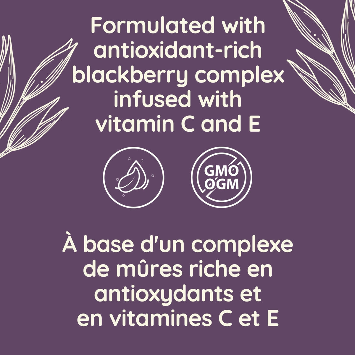 Aveeno Absolutely Ageless Night Cream/Aveeno Absolutely Ageless Restorative Night Cream, Anti Aging Moisturizer, Vitamins, Blackberry Complex, 48-mL 🍁 All In One Marketplace Canada