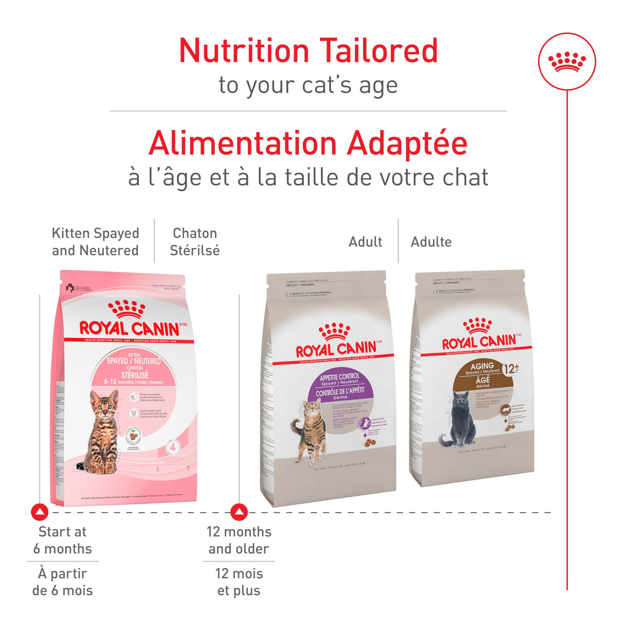 Royal Canin Feline Health Nutrition Kitten Spayed/Neutered Dry Cat Food, 2.5 lb Bag 🍁 All In One Marketplace Canada