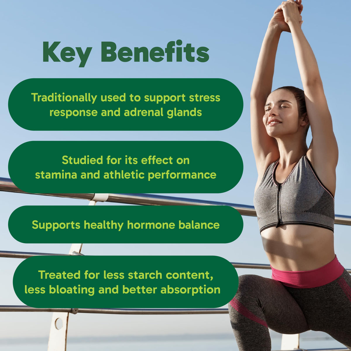 Organika Maca Certified Organic Powder- Gelatinized for High Bioavialability, Hormone Balance, Adaptogen to Help with Stress and Energy - 200 g 🍁 All In One Marketplace Canada