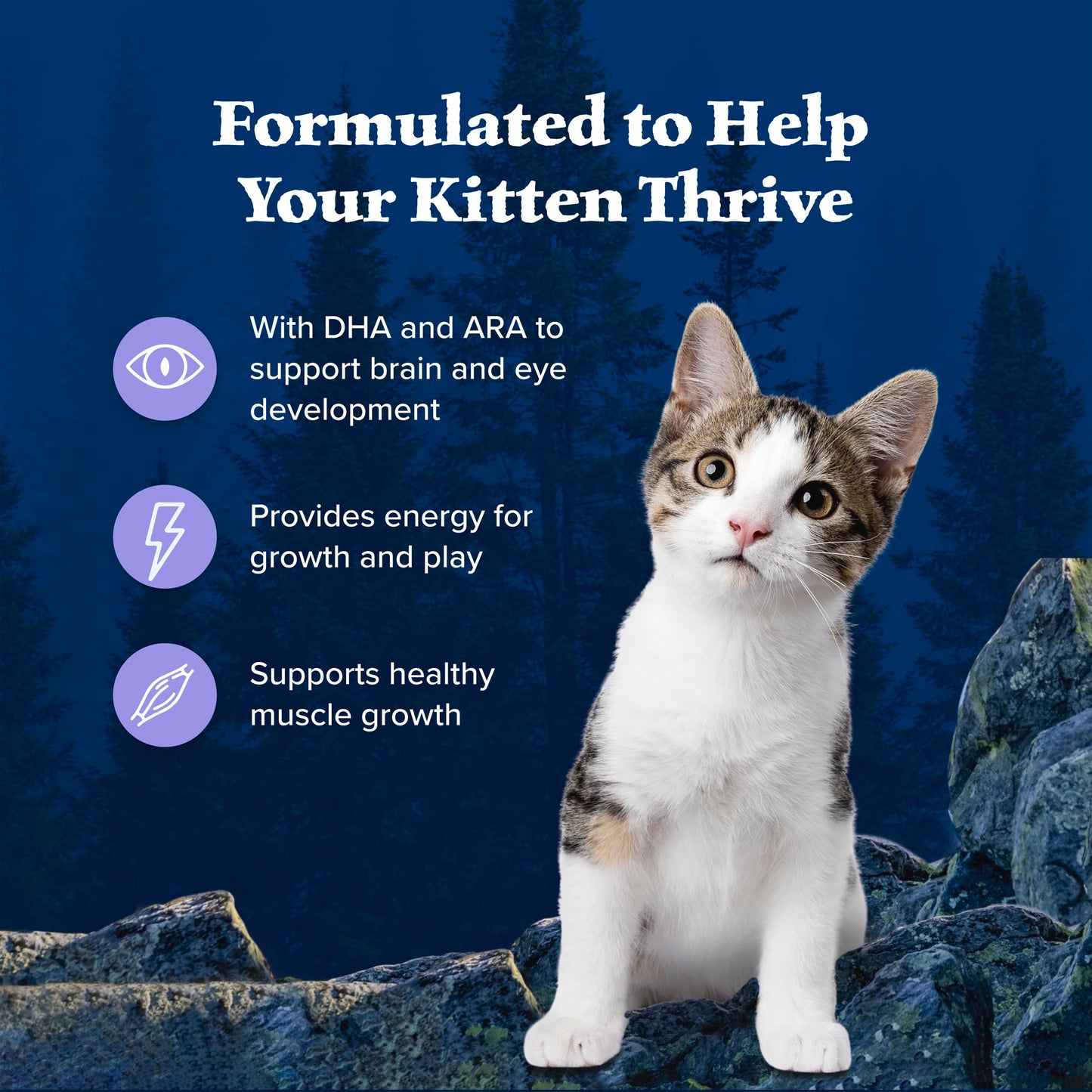 Blue Buffalo Wilderness with Chicken Natural High-Protein Grain-Free Dry Kitten Food, Real Chicken First, Antioxidant-Rich LifeSource Bits Support Immunity, DHA & ARA for Development, 2.2kg/5 lbs. 🍁 All In One Marketplace Canada