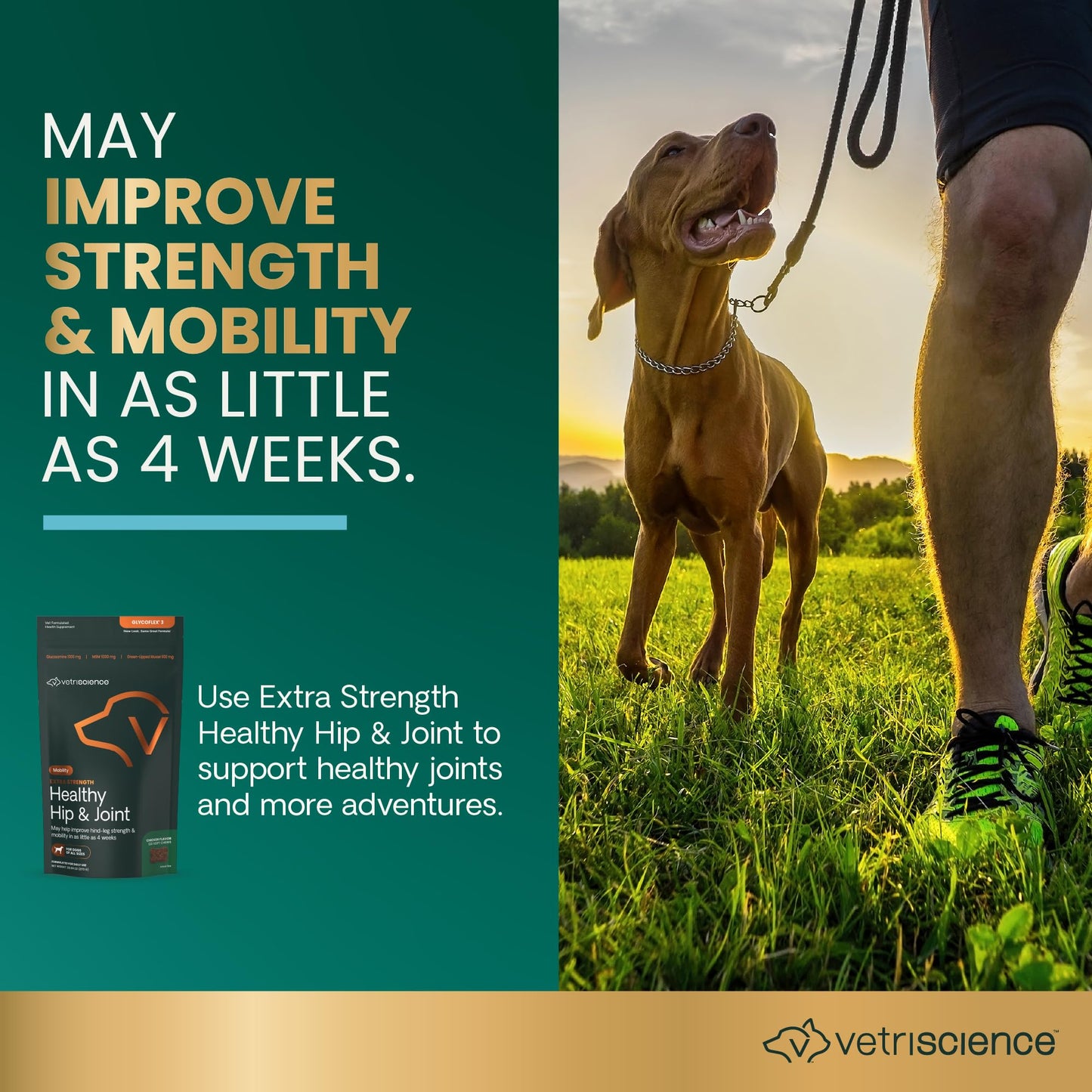 VETRISCIENCE Glycoflex Clinically Proven Hip and Joint Supplement with Glucosamine for Dogs, Chicken, 60 Chews - Vet Recommended Mobility Support Supplement with DMG, MSM, and Perna 🍁 All In One Marketplace Canada