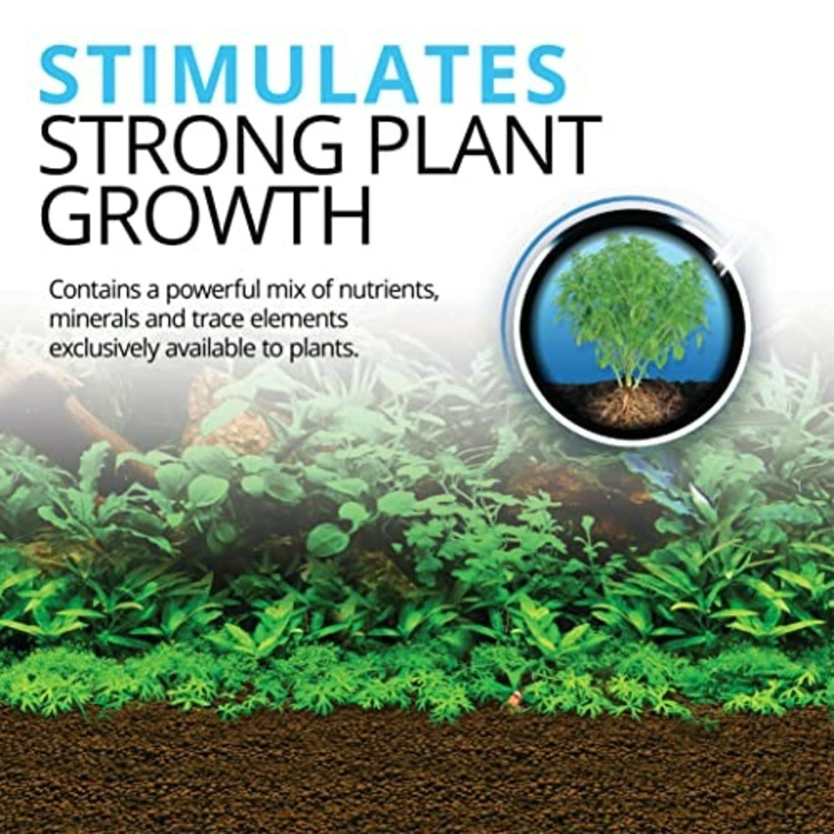 Fluval Bio-Stratum Volcanic Aquarium Soil - Powder Format - 2 kg (4.4 lb) 🍁 All In One Marketplace Canada