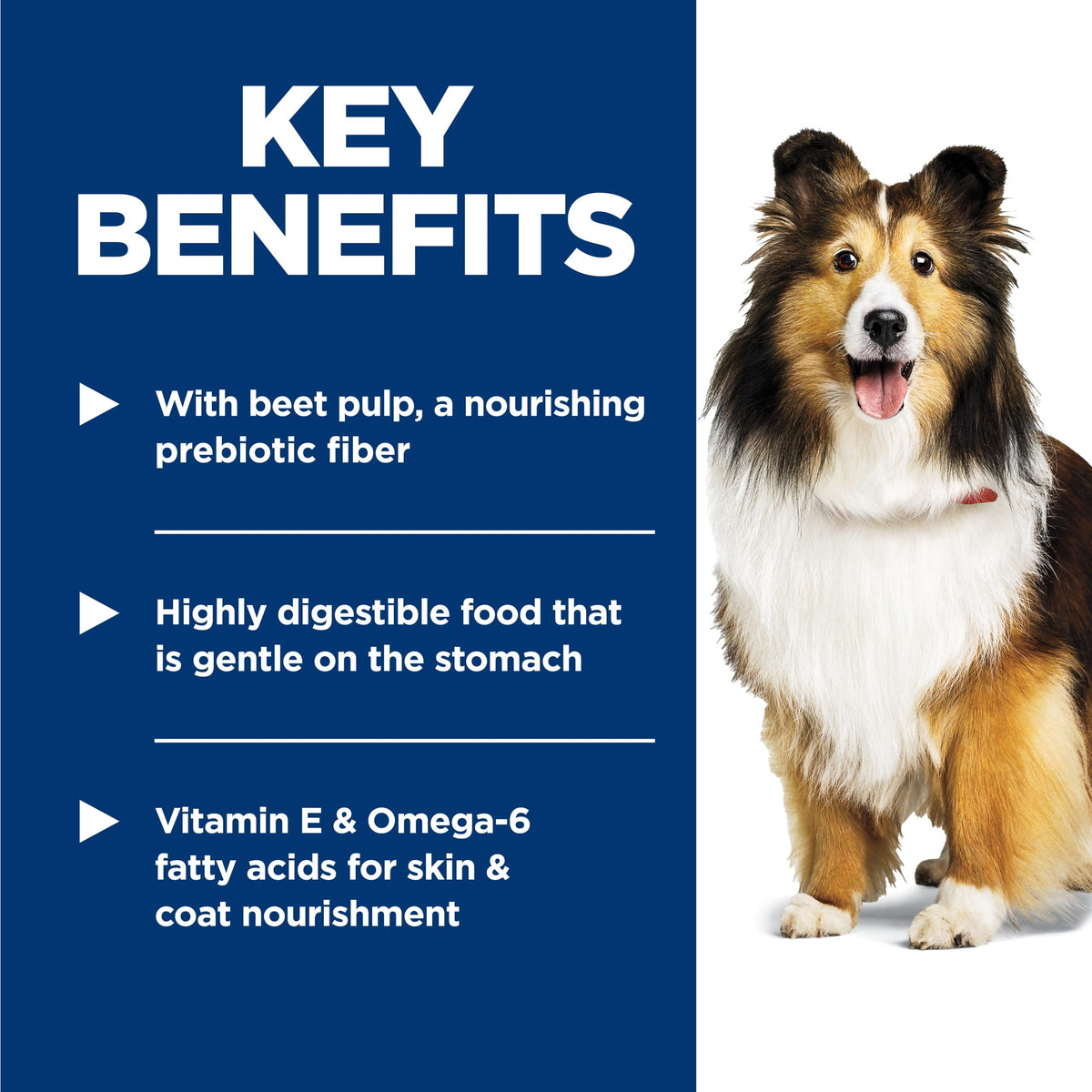 Hill's Science Diet Adult Sensitive Stomach & Skin Chicken Recipe Dry Dog Food 1.81 kg Bag 🍁 All In One Marketplace Canada