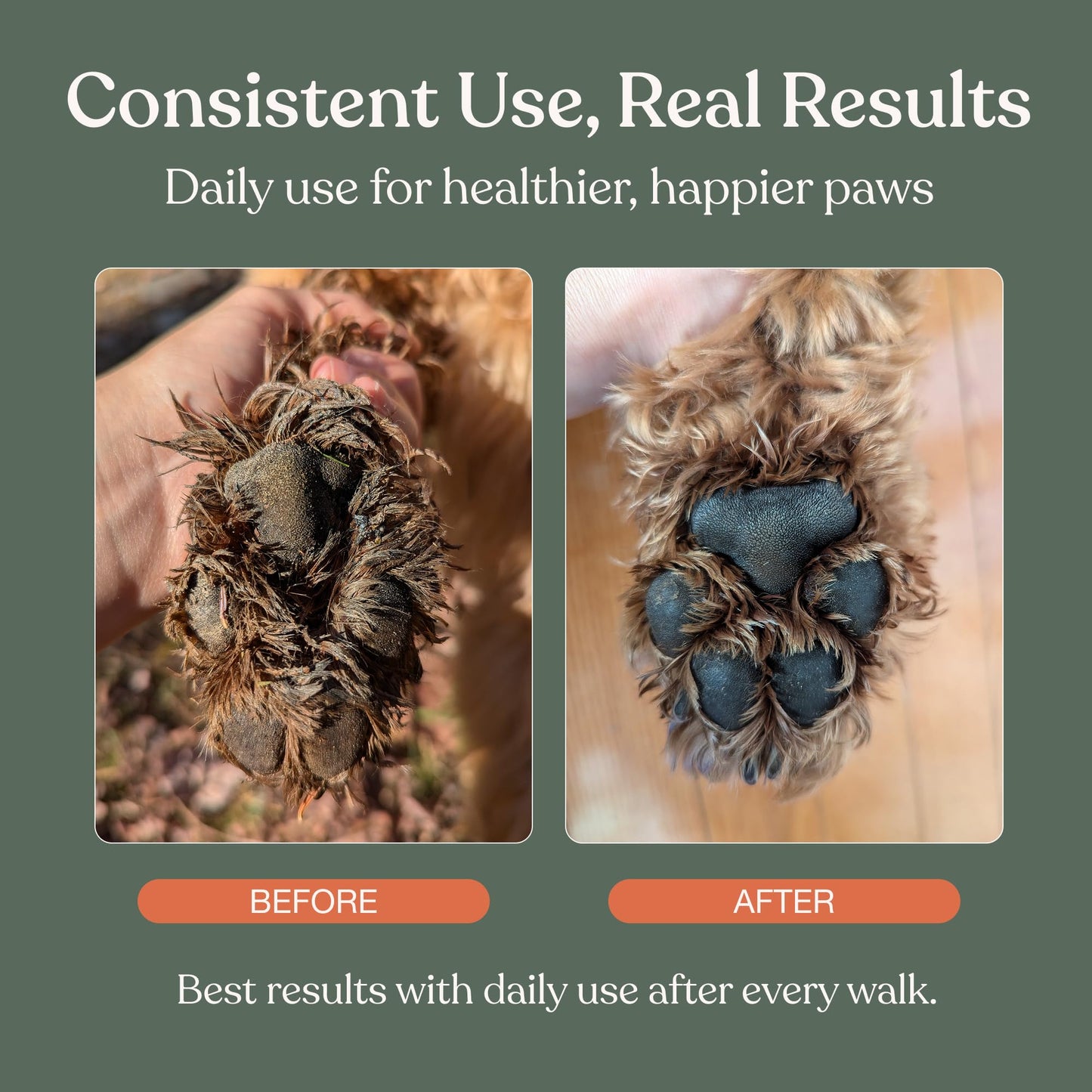 Dandylion Dog Paw Cleaner, Clean Paws, Dog Paw Washer, No Rinse Foam Cleaner for Dogs, Fragrance Free pH Balanced Foaming Washer with Silicone Brush, Pet Cleaning Supplies, 5 fl oz 🍁 All In One Marketplace Canada