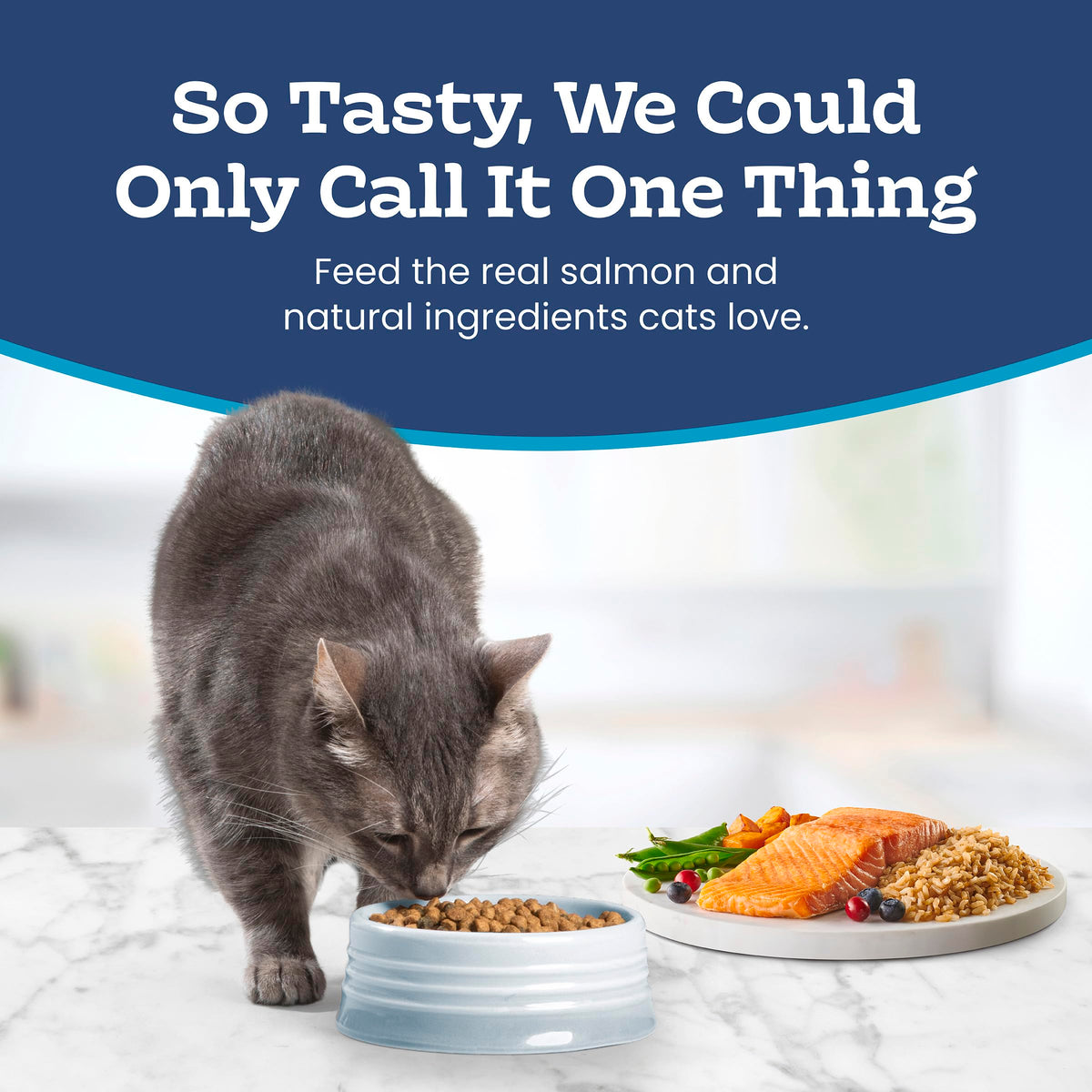 Blue Buffalo Tastefuls Salmon & Brown Rice Recipe Dry Indoor Cat Food for Adult Cats, Real Salmon First, Deliciously Healthy Natural Cat Food, Supports Digestive Care and Coat Health, 3.1kg Bag 🍁 All In One Marketplace Canada