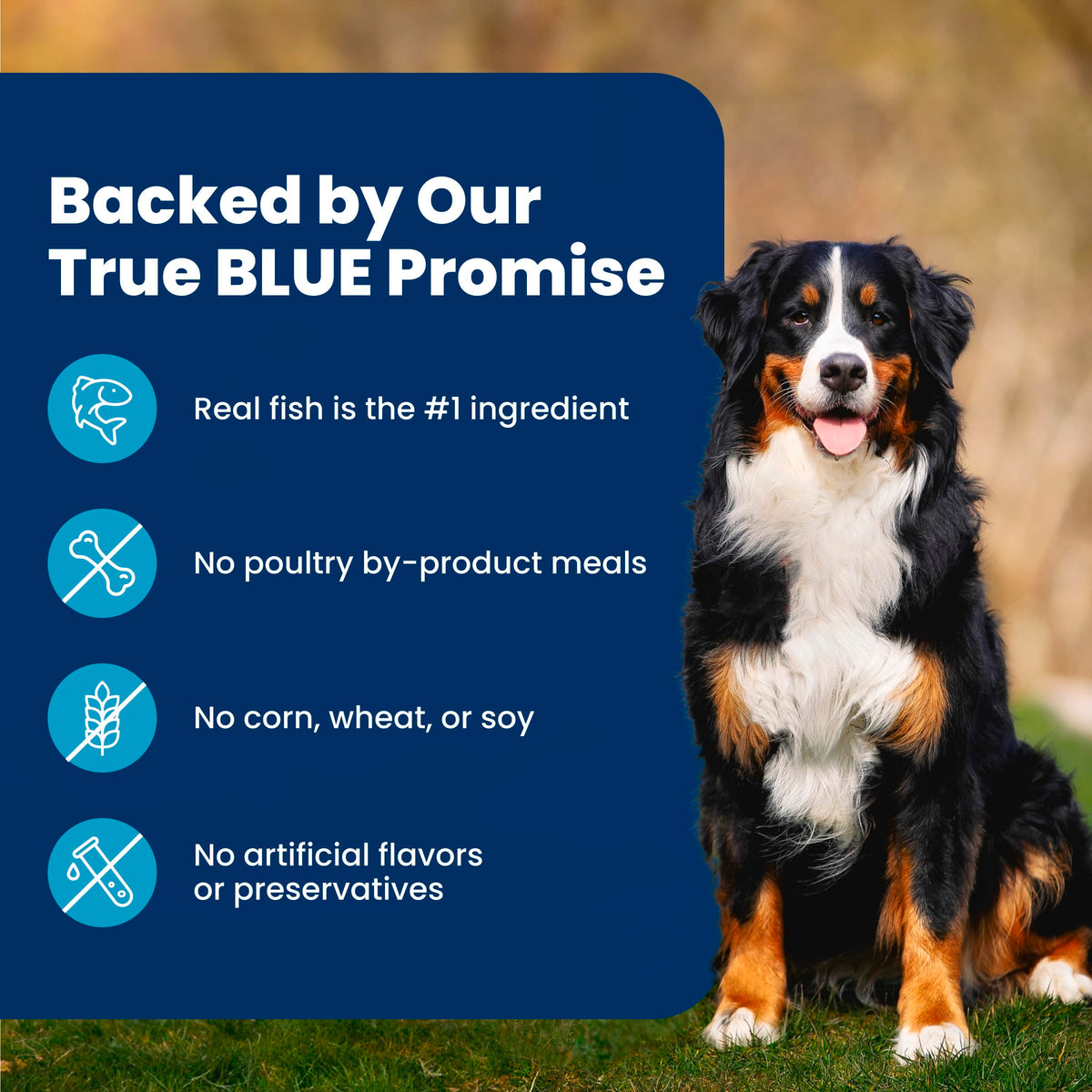Blue Buffalo Life Protection Formula Adult Dry Dog Food, Helps Build and Maintain Strong Muscles, Made with Natural Ingredients, Fish & Brown Rice Recipe, 11.7kg/26lbs Bag 🍁 All In One Marketplace Canada
