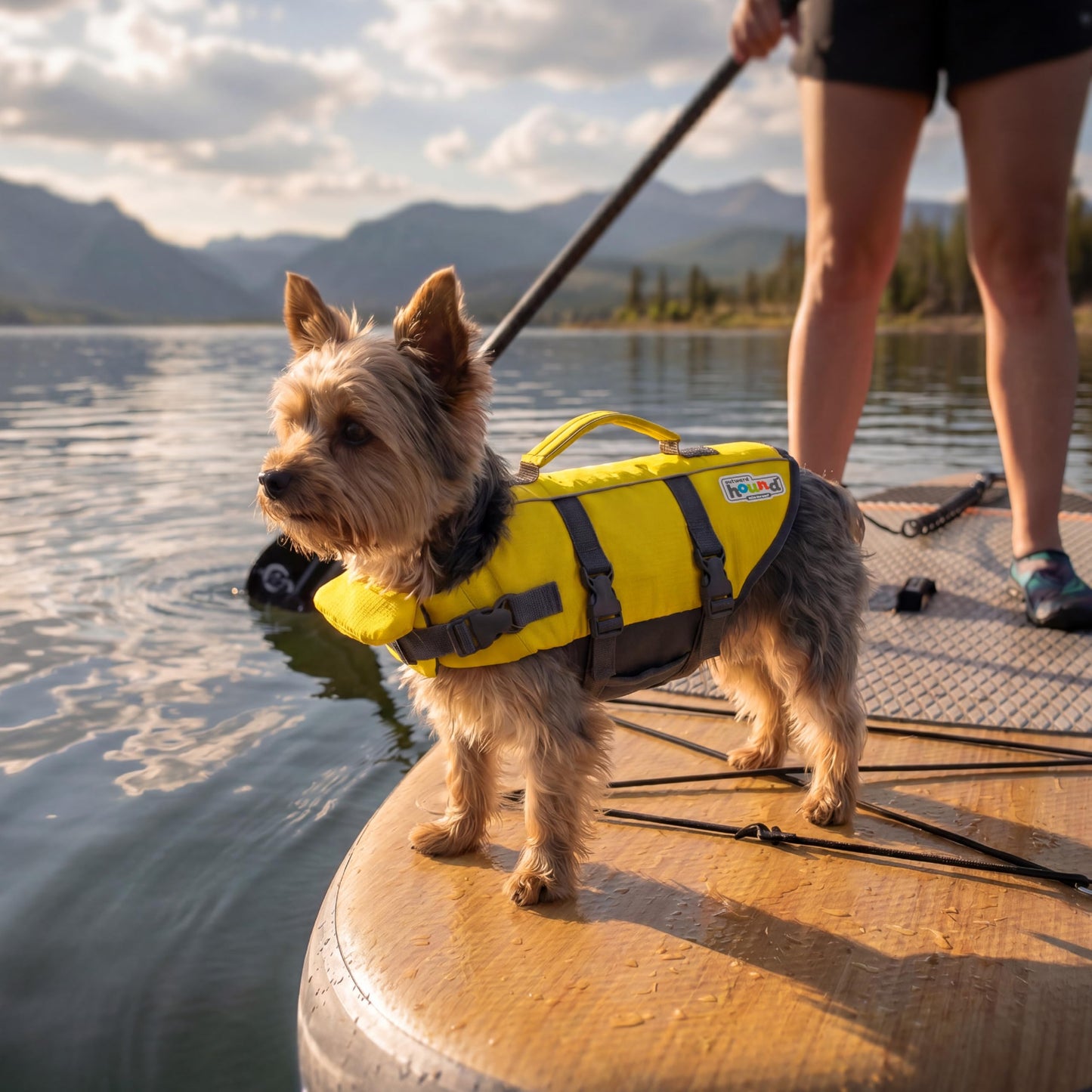 Outward Hound Granby Splash Dog Life Jacket with Handle, Reflective Floating Vest for Swimming & Boating, Maximum Buoyancy, All Skill Levels, Extra-Small Dogs & Puppies (11–15" Girth), Yellow, X-Small 🍁 All In One Marketplace Canada