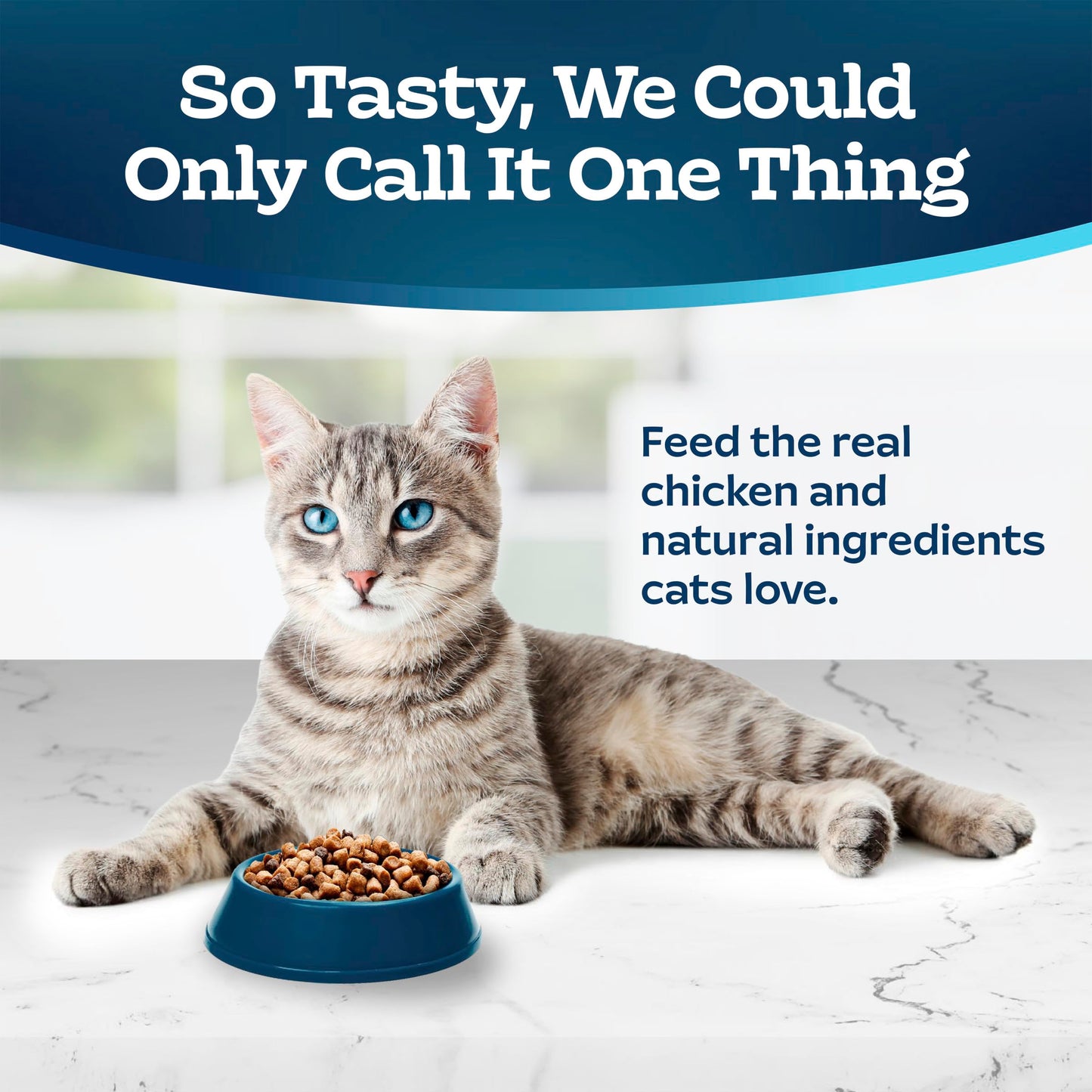 Blue Buffalo Tastefuls Chicken & Brown Rice Recipe Adult Dry Cat Food Hairball Control, Real Chicken First, Deliciously Healthy Natural Cat Food, Supports Digestive Care and Coat Health, 6.8kg Bag 🍁 All In One Marketplace Canada