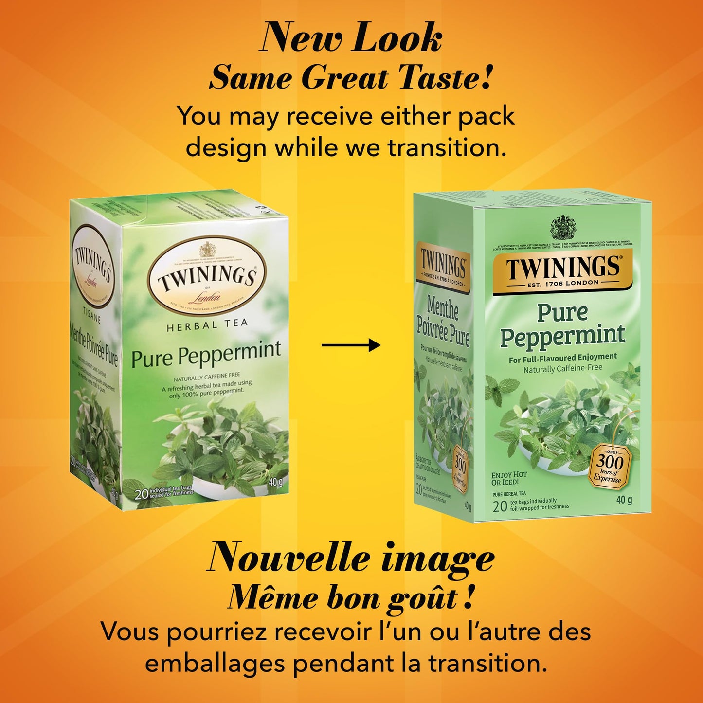 Twinings Pure Peppermint Herbal Revive Individually Wrapped Teabags, Naturally Caffeine-Free, 20 Count (Pack of 6), Enjoy Hot or Iced 🍁 All In One Marketplace Canada