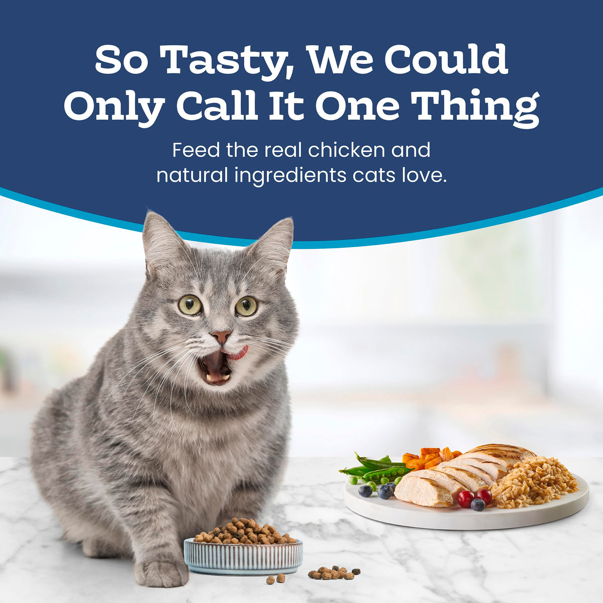 Blue Buffalo Tastefuls Chicken & Brown Rice Recipe Mature Dry Cat Food for Adult Cats 7+, Real Chicken First, Deliciously Healthy Natural Senior Cat Food with Fish Oil & Natural Ingredients, 3.1kg 🍁 All In One Marketplace Canada