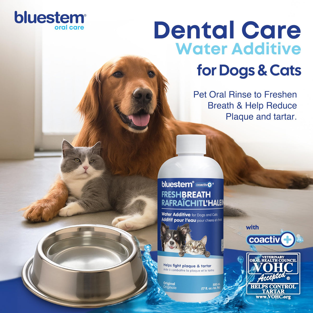 bluestem Dental Care Water Additive for Dogs & Cats – No Brushing Daily Teeth Cleaner – Pet Oral Rinse to Freshen Breath & Help Reduce Plaque – Flavorful & Easy Oral Hygiene (500 ml, Original) 🍁 All In One Marketplace Canada