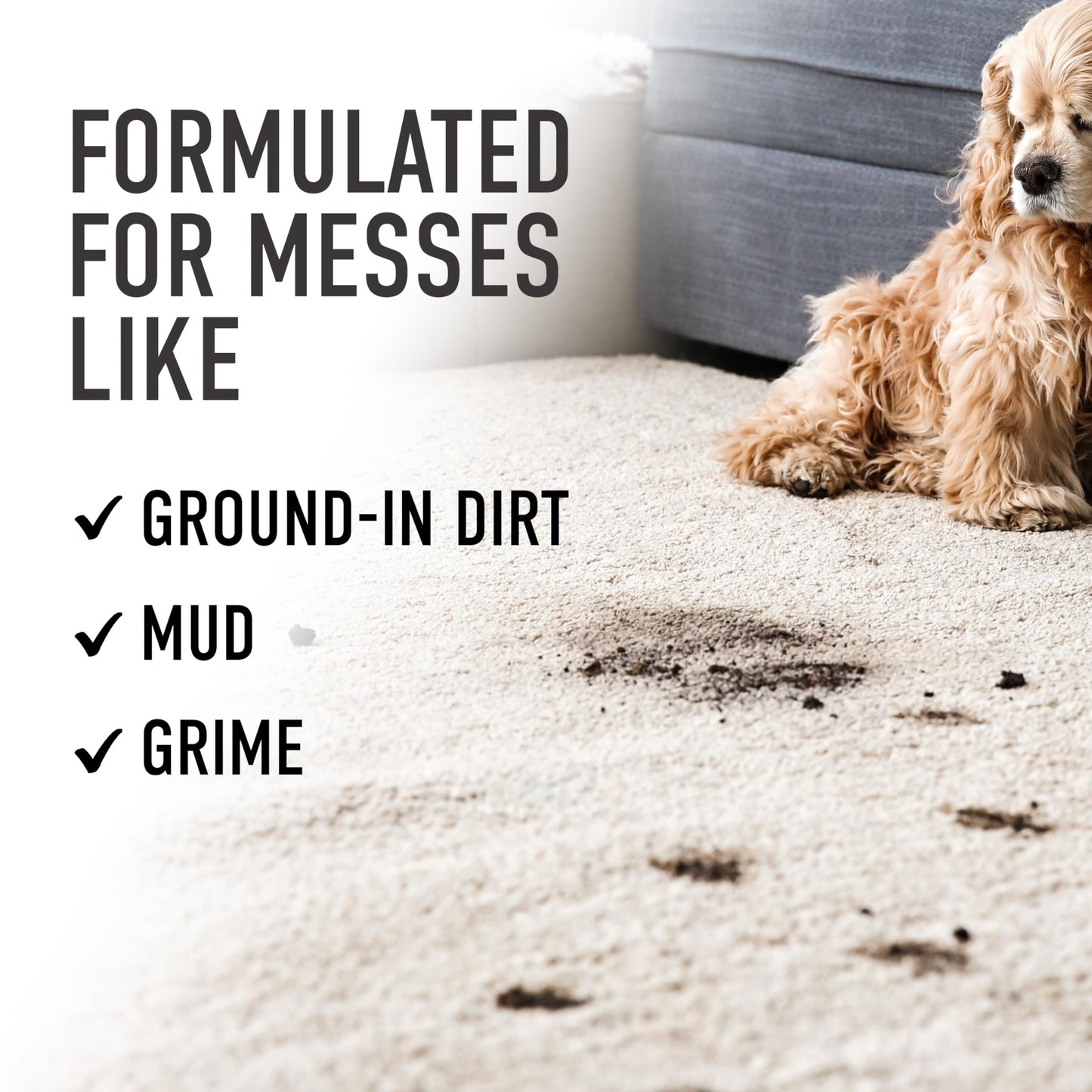 Hoover Prime Professional Carpet Cleaner Solution, 64 oz., Ocean Breeze Scent, Powerful Carpet Shampoo Solution, Remove Tough Stains from Carpet and Upholstery, Pair with Hoover Carpet Cleaner Machine 🍁 All In One Marketplace Canada
