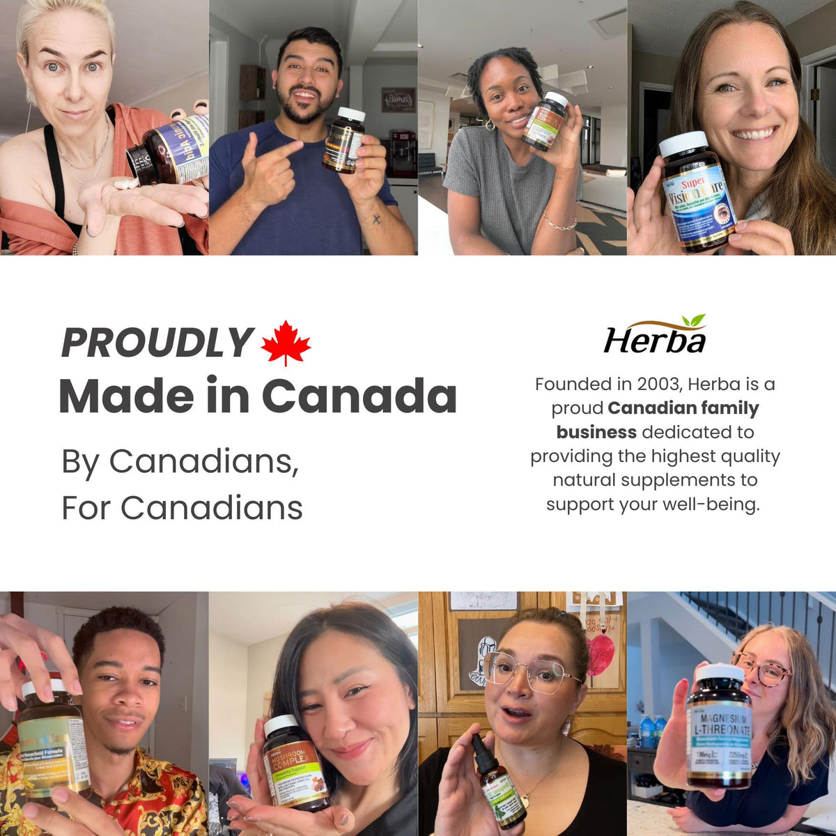 Herba Krill Oil Omega 3 Supplements - 120 Softgels | 1000mg of Antarctic Krill Oil Per Day (2 softgels 500mg each) | Source of Omega 3 Fatty Acids | High Astaxanthin | Premium Grade - 500mg per Soft Gel | Made in Canada 🍁 All In One Marketplace Canada