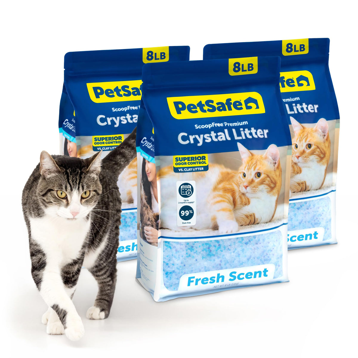PetSafe ScoopFree Premium Fresh Crystal Cat Litter, 3-Pack – Lightly Scented Litter – Superior Odor Control – Low Tracking for Less Mess – Lasts Up to 6 Months, 24 lbs Total (3 Pack of 8 lb Bags) 🍁 All In One Marketplace Canada