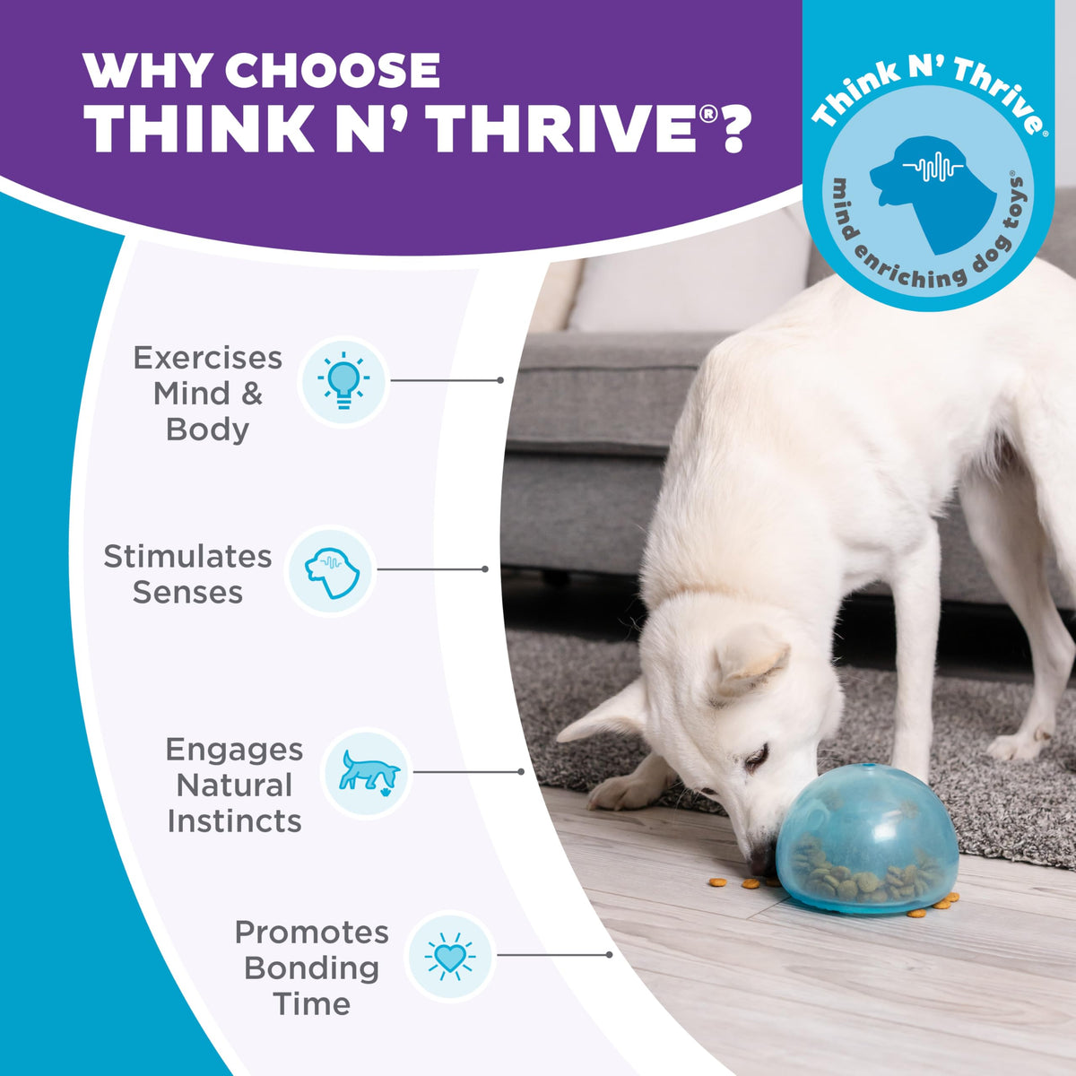 Planet Dog Orbee-Tuff Snoop Interactive Puzzle Dog Toy, Blue 🍁 All In One Marketplace Canada