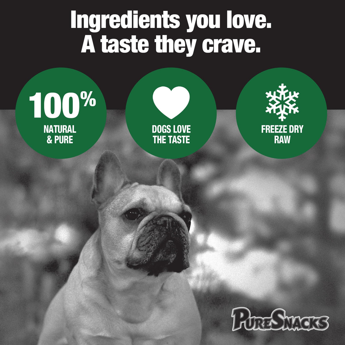 PureSnacks Freeze Dried Beef Liver Dog Treats 14.4oz (410g) | 1 Ingredient | Freeze Dried in the USA | Packaged and Prepared in Canada 🍁 All In One Marketplace Canada