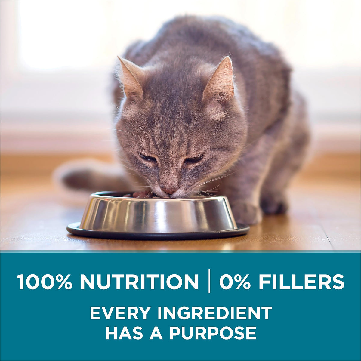 Purina ONE Dry Cat Food, Salmon & Rice Formula - 7.2 kg Bag 🍁 All In One Marketplace Canada