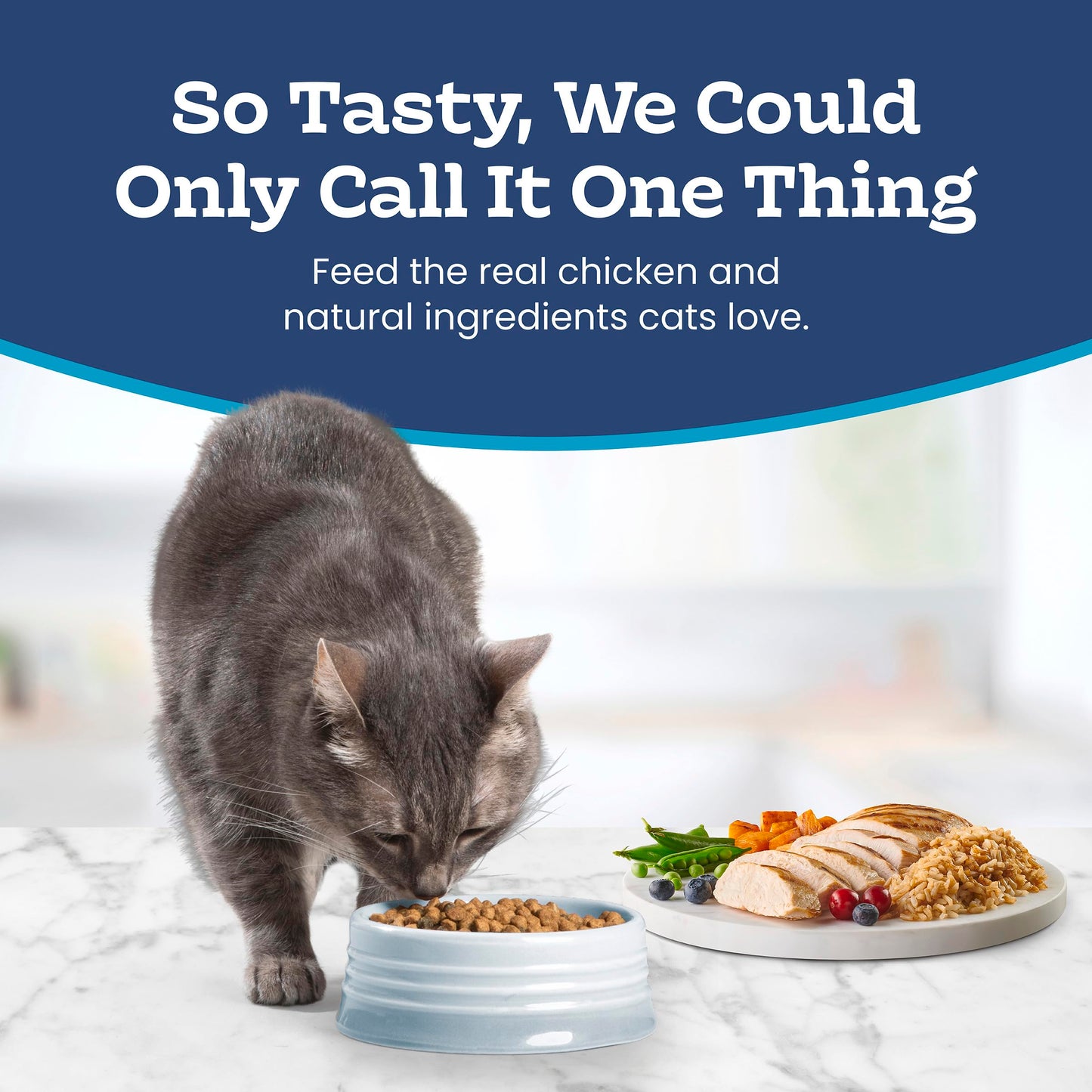 Blue Buffalo Tastefuls Chicken & Brown Rice Recipe Dry Indoor Cat Food for Adult Cats, Real Chicken First, Deliciously Healthy Natural Cat Food, Supports Digestive Care and Coat Health, 22 lbs. 🍁 All In One Marketplace Canada