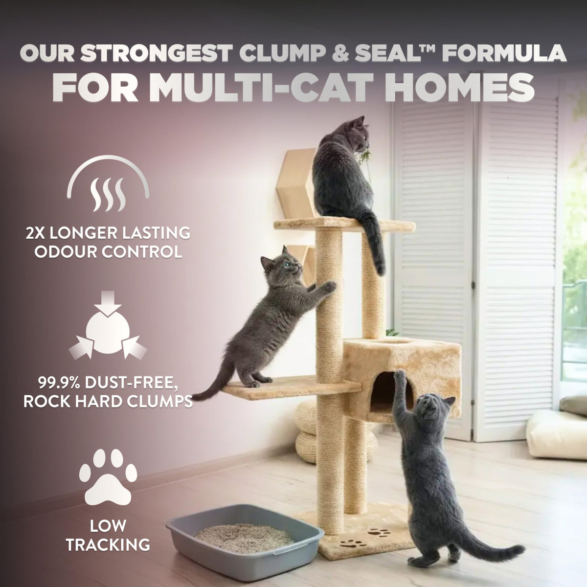 ARM & HAMMER Platinum Cat Litter, Clump & Seal, EXTRA STRENGTH Complete Odour Sealing with 14 Days of Odour Control, Multi-Cat, Hard Clumping Clay, 99.99% Dust Free, 18.14kg 🍁 All In One Marketplace Canada