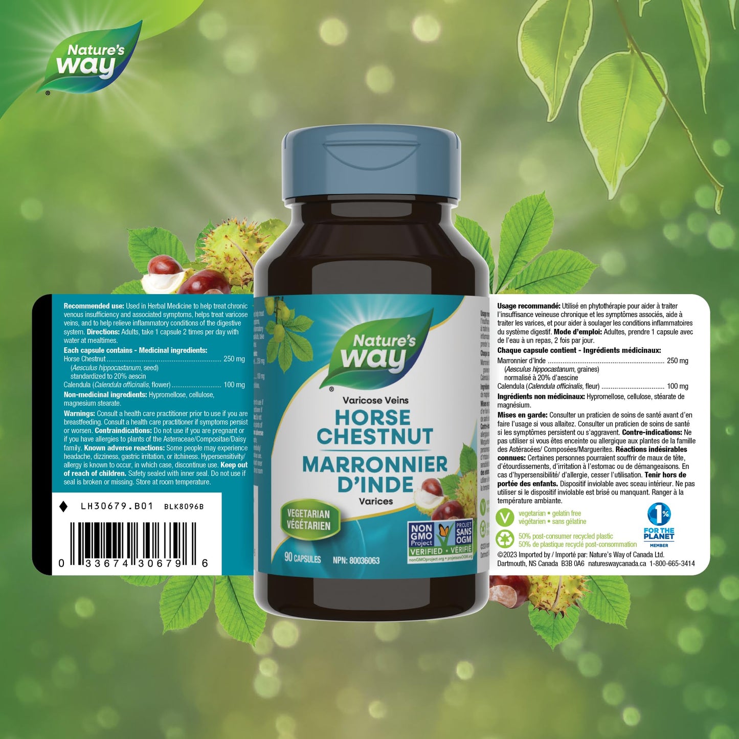 Nature's Way Horse Chestnut Supplement – Helps Treat Varicose Veins and Associated Symptoms – Digestive System Inflammation Relief – 100mg Calendula, 250mg Horse Chestnut – 90 Vegetarian Capsules 🍁 All In One Marketplace Canada