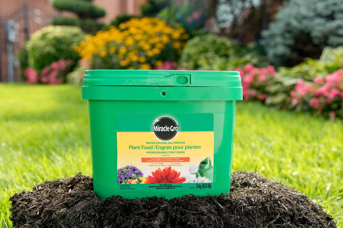 Miracle-Gro Water Soluble All Purpose Plant Food, 3kg | Instant Feeder for Flowers, Veggies, Trees & Shrubs | Easy Mix & Apply 🍁 All In One Marketplace Canada