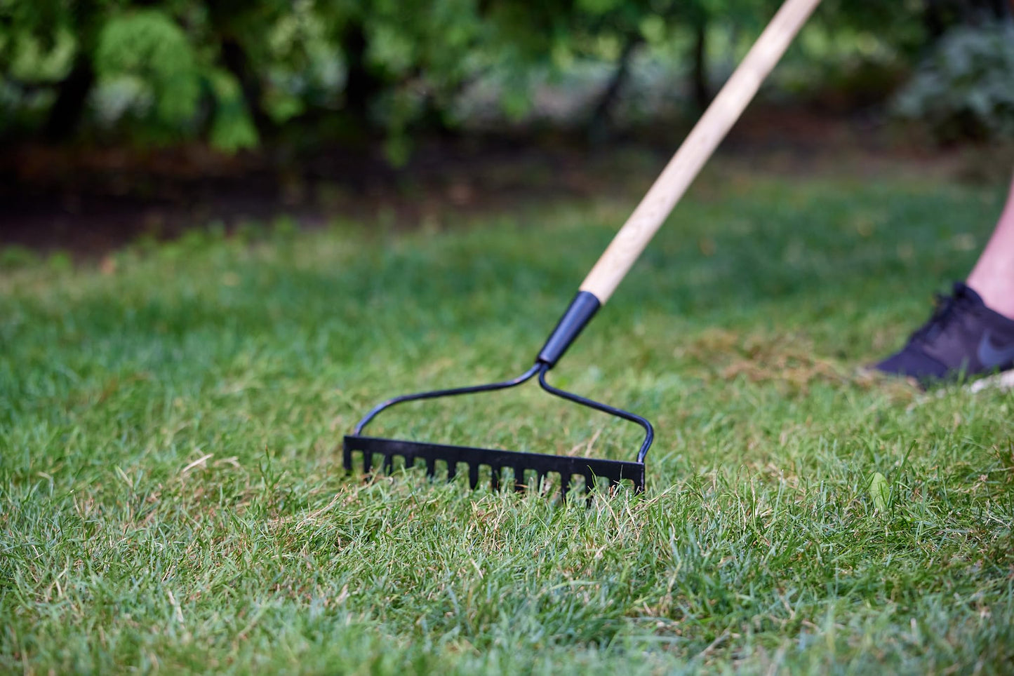 Scotts 20240 Turf Builder Grass Seed Shady Areas Mix 🍁 All In One Marketplace Canada