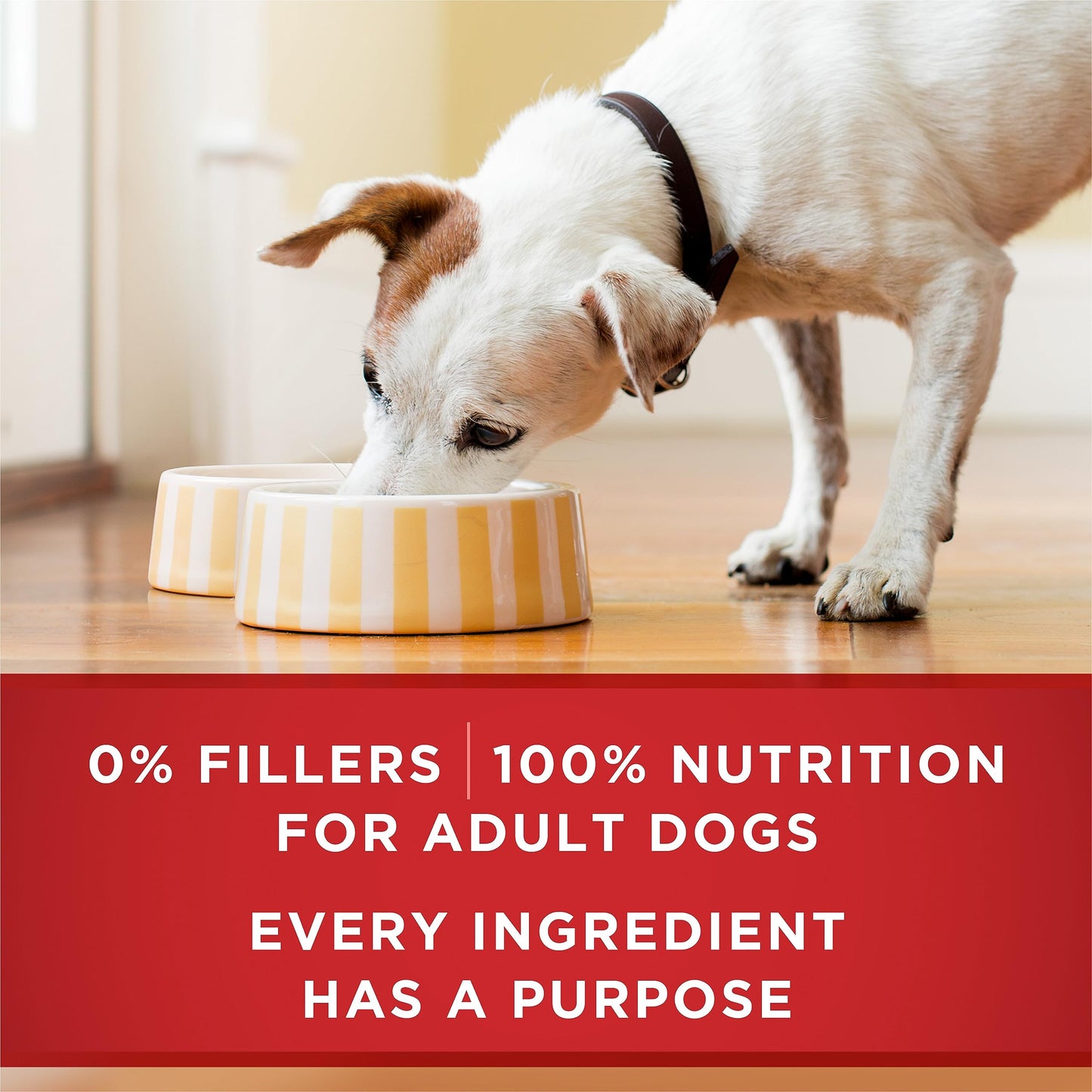 Purina ONE Wet Dog Food, Tender Cuts in Gravy Lamb & Rice 368g (12 Pack) 🍁 All In One Marketplace Canada