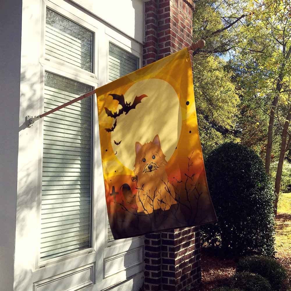 Caroline's Treasures BB4286CHF Halloween Norwich Terrier Canvas House Size Flag, Large, Multicolor
