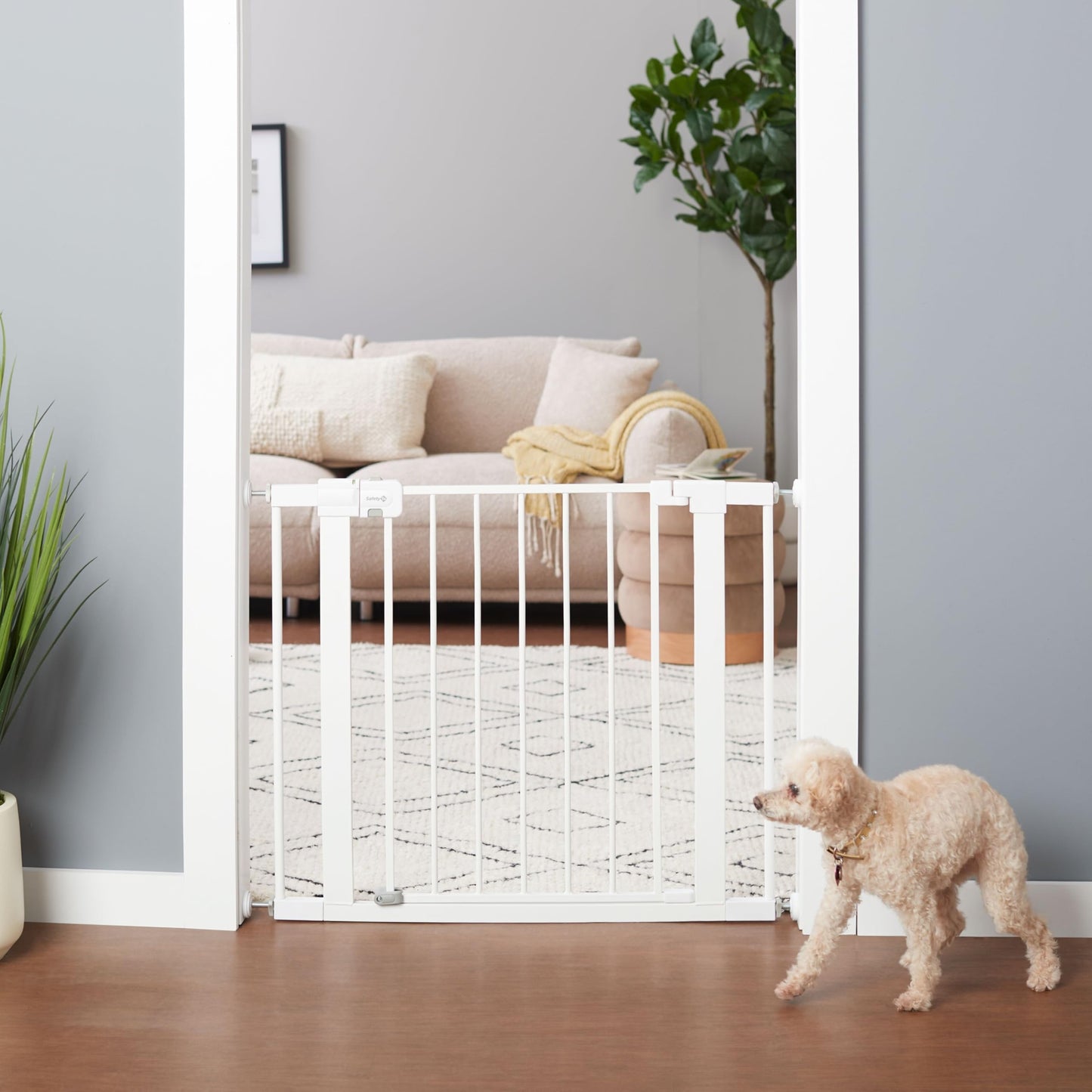 Safety 1st Easy Install Walk Thru Gate 🍁 All In One Marketplace Canada