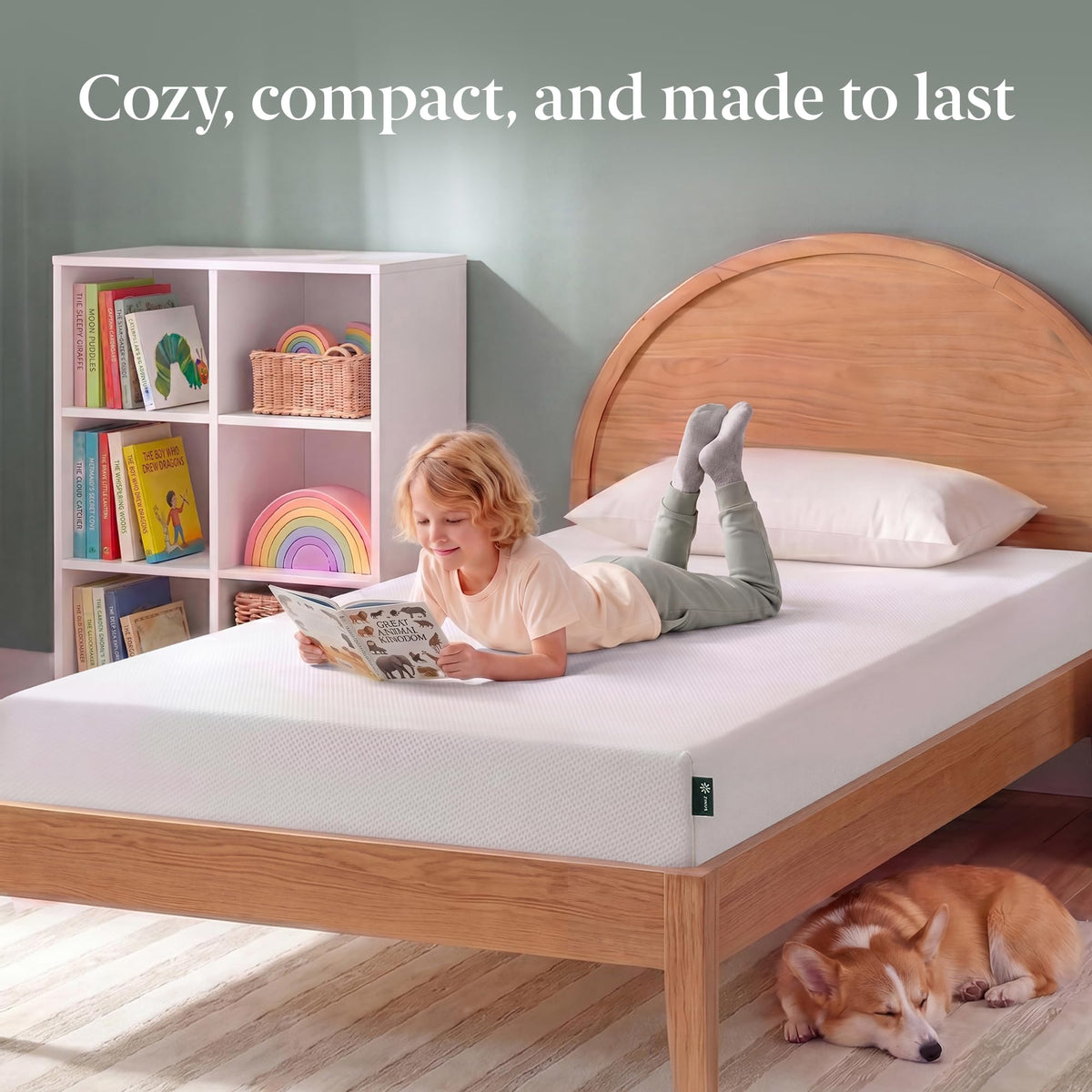 Zinus Twin Mattress - 6 Inch Green Tea Infused Memory Foam Mattress, Mattress in a Box, CertiPUR-US Certified Foam with Pressure Relief, 10-Year Warranty, Twin Size 🍁 All In One Marketplace Canada