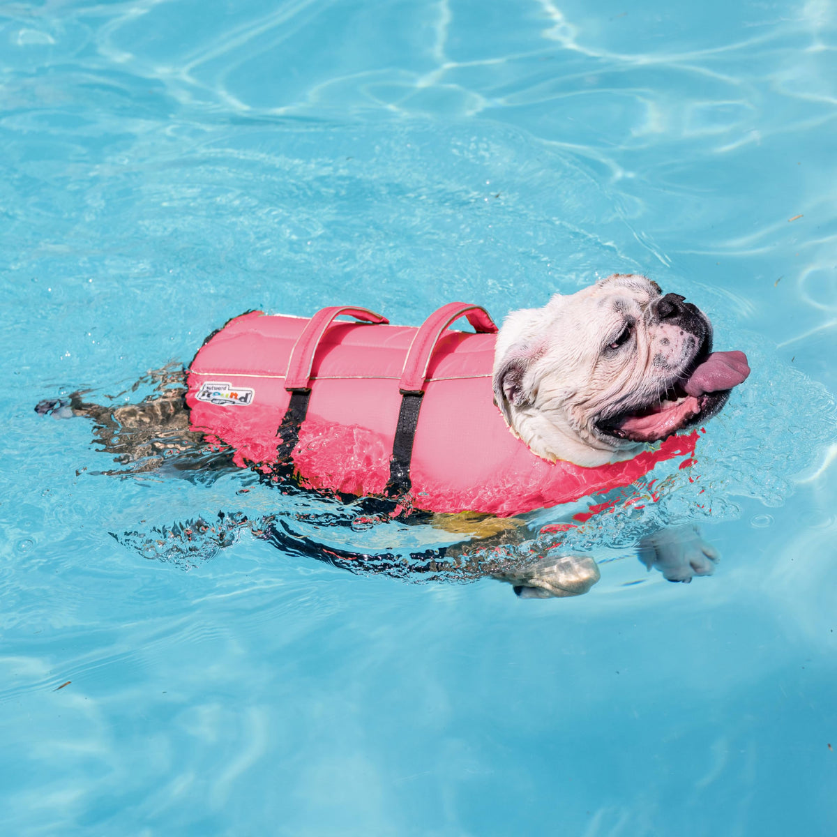Outward Hound Granby Splash Dog Life Jacket with Handle, Reflective Floating Vest for Swimming & Boating, Maximum Buoyancy, All Skill Levels, Small Dogs & Puppies (16–20" Girth), Pink, Small 🍁 All In One Marketplace Canada