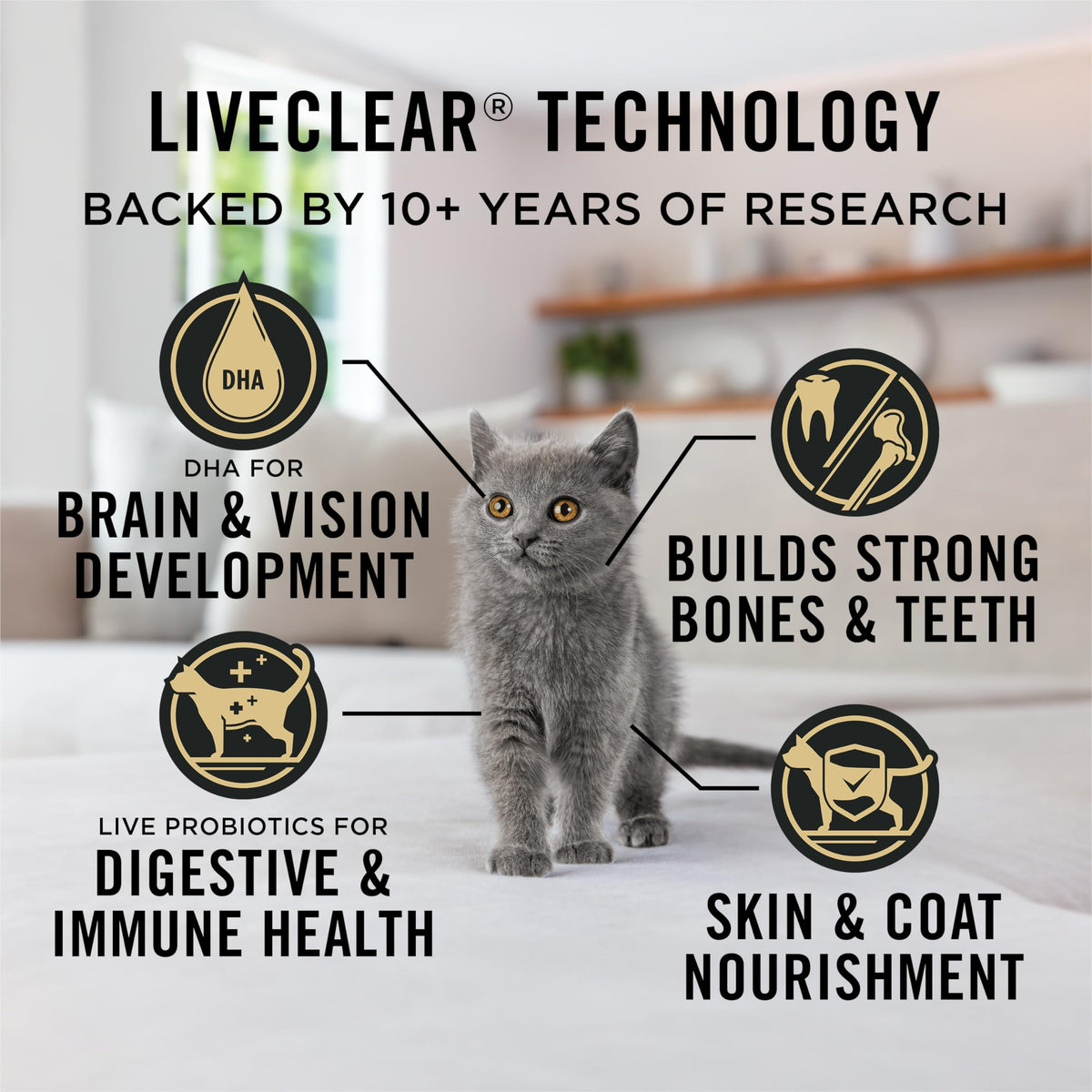 Purina Pro Plan LiveClear Dry Kitten Food, Allergen Reducing Chicken 2.49kg 🍁 All In One Marketplace Canada