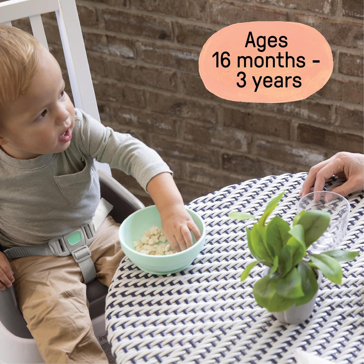 Ingenuity SmartClean Toddler Booster Seat for Kitchen Chair – Lightweight for on-the-go, Easy-Clean, 3-Point Harness Strap – Booster Seat for Dining Table, Slate 🍁 All In One Marketplace Canada