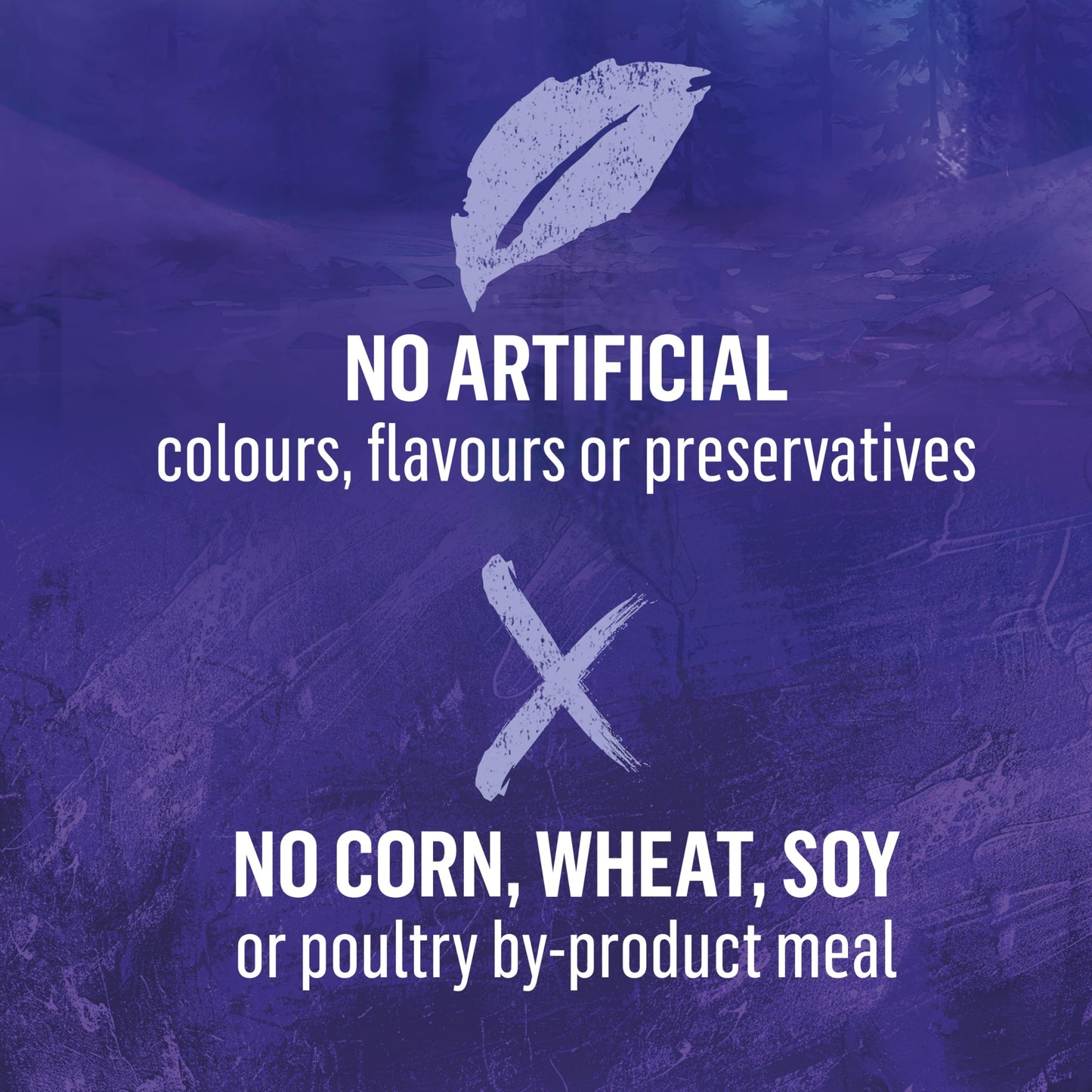 Beyond Wild Dry Dog Food, Turkey, Egg & Bone Broth 4.5kg 🍁 All In One Marketplace Canada