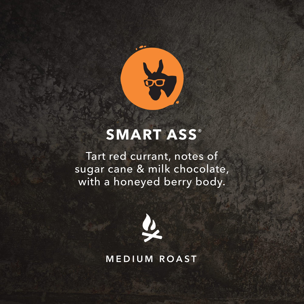 Kicking Horse Coffee, Smart Ass, Medium Roast, Whole Bean, 1 lb - Certified Organic, Fairtrade, Kosher Coffee 🍁 All In One Marketplace Canada