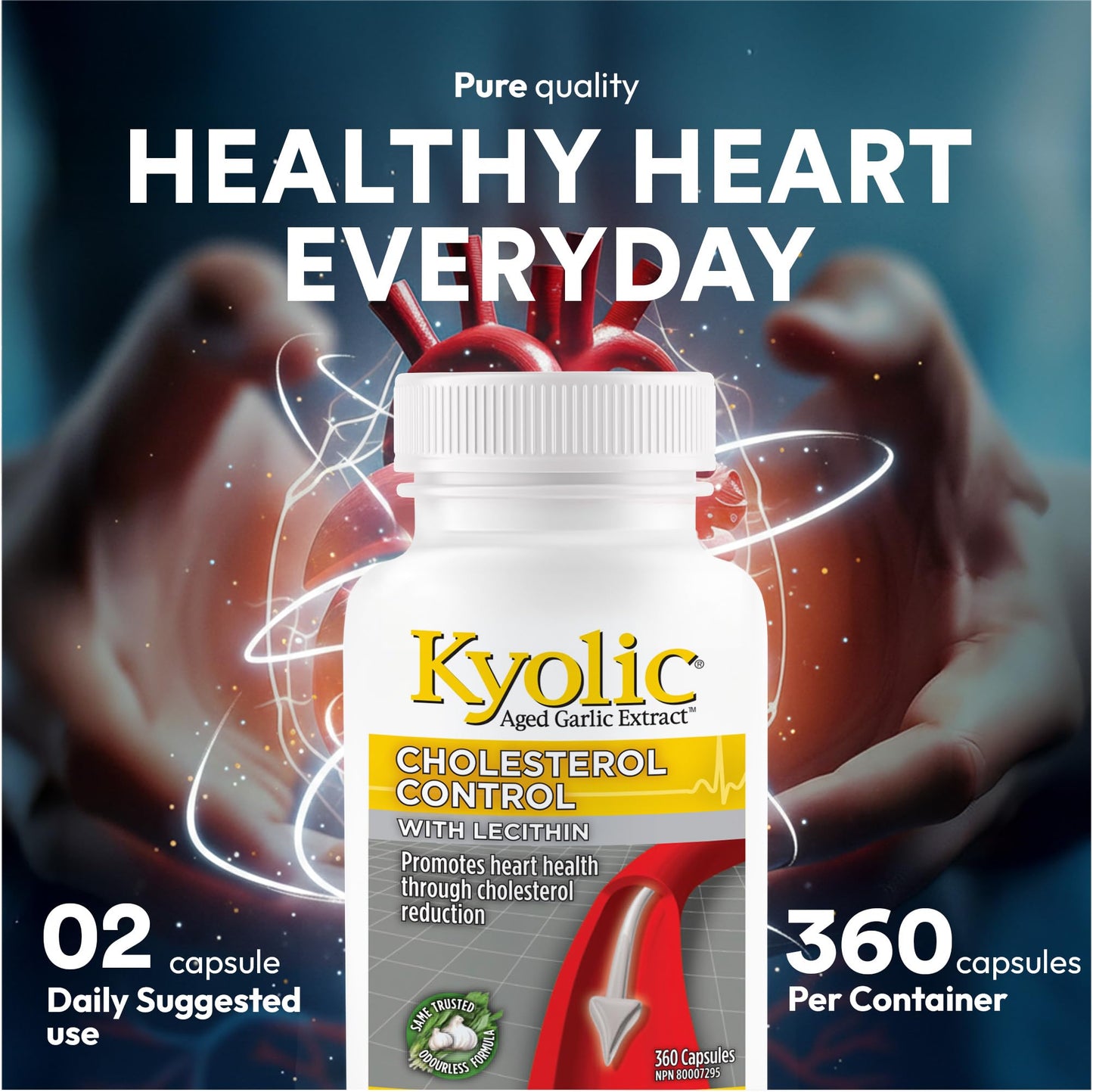 Kyolic Formula 104 Aged Garlic Extract, Odourless Garlic, 360 Capsules 🍁 All In One Marketplace Canada