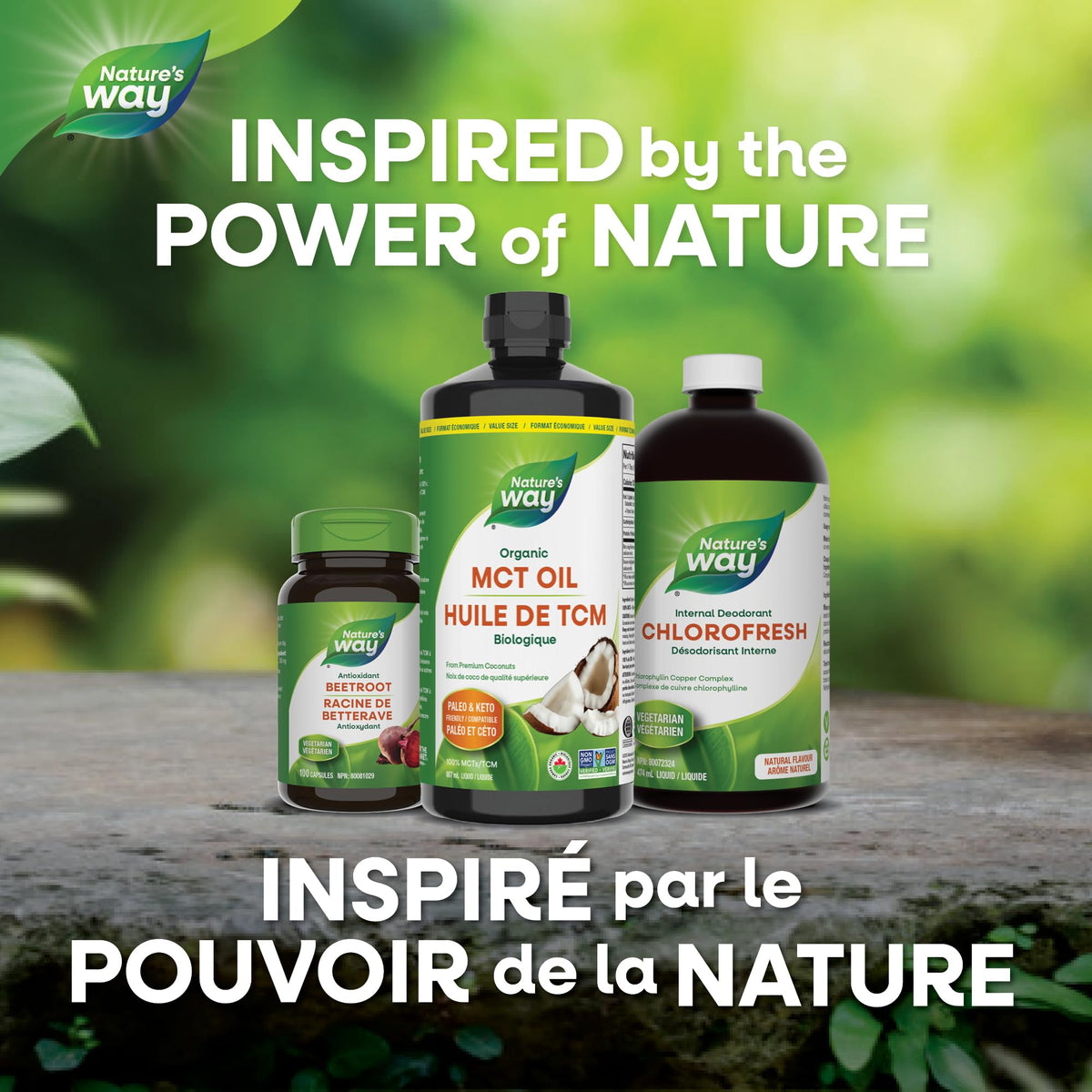 Nature's Way 100% Pure MCT Oil From Coconut – 14g MCT Per Serving – Paleo and Keto friendly – Certified Organic – Non-GMO Project Verified – Vegetarian, Gluten-free, & Flavourless – 887 mL, Value Size 🍁 All In One Marketplace Canada