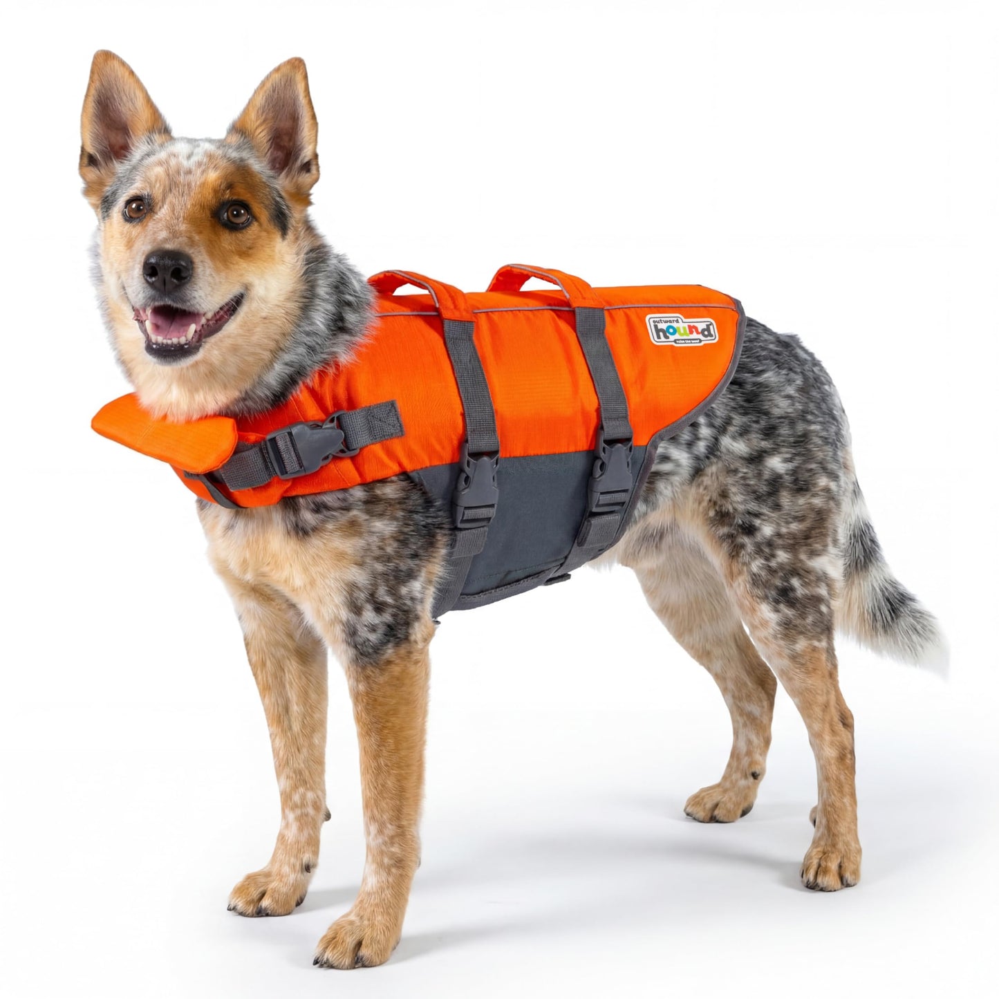 Outward Hound Granby Splash Orange Dog Life Jacket, Medium 🍁 All In One Marketplace Canada