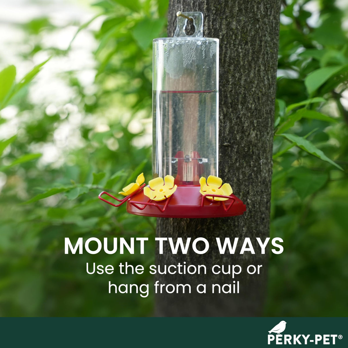 Perky-Pet 8-Ounce Window Mount Hummingbird Feeder 217 🍁 All In One Marketplace Canada