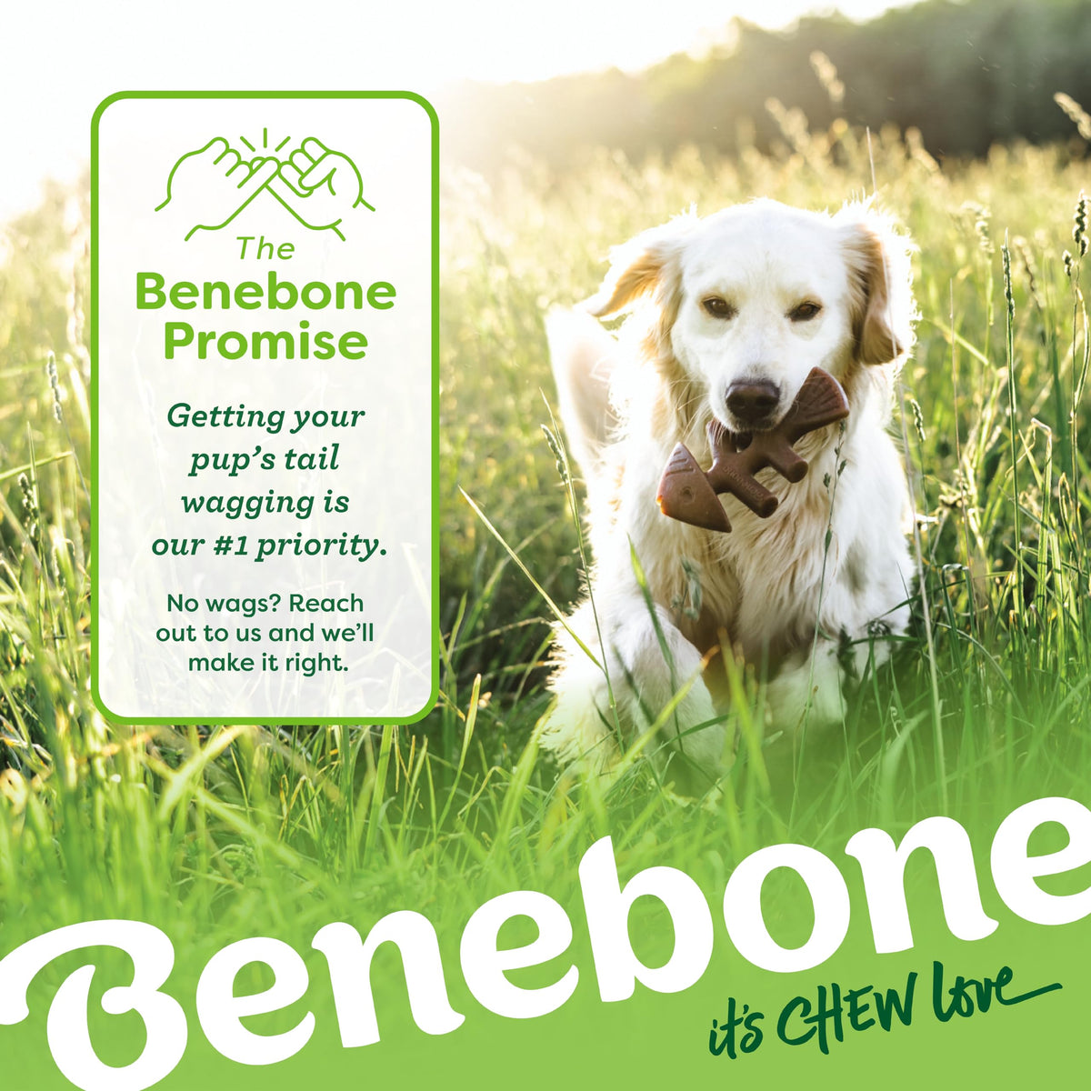 Benebone 4-Pack Durable Dog Chew Toys for Aggressive Chewers, Real Flavors, Made in USA, Medium 🍁 All In One Marketplace Canada