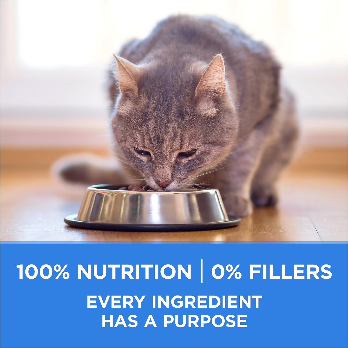 Purina ONE +Plus Dry Cat Food, Urinary Tract Formula Chicken - 3 kg Bag 🍁 All In One Marketplace Canada