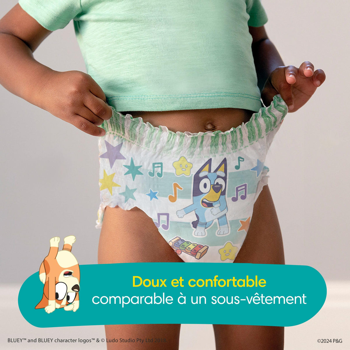 Pampers, Easy Ups Training Underwear Boys Size 2T/3T, 112 Count 🍁 All In One Marketplace Canada