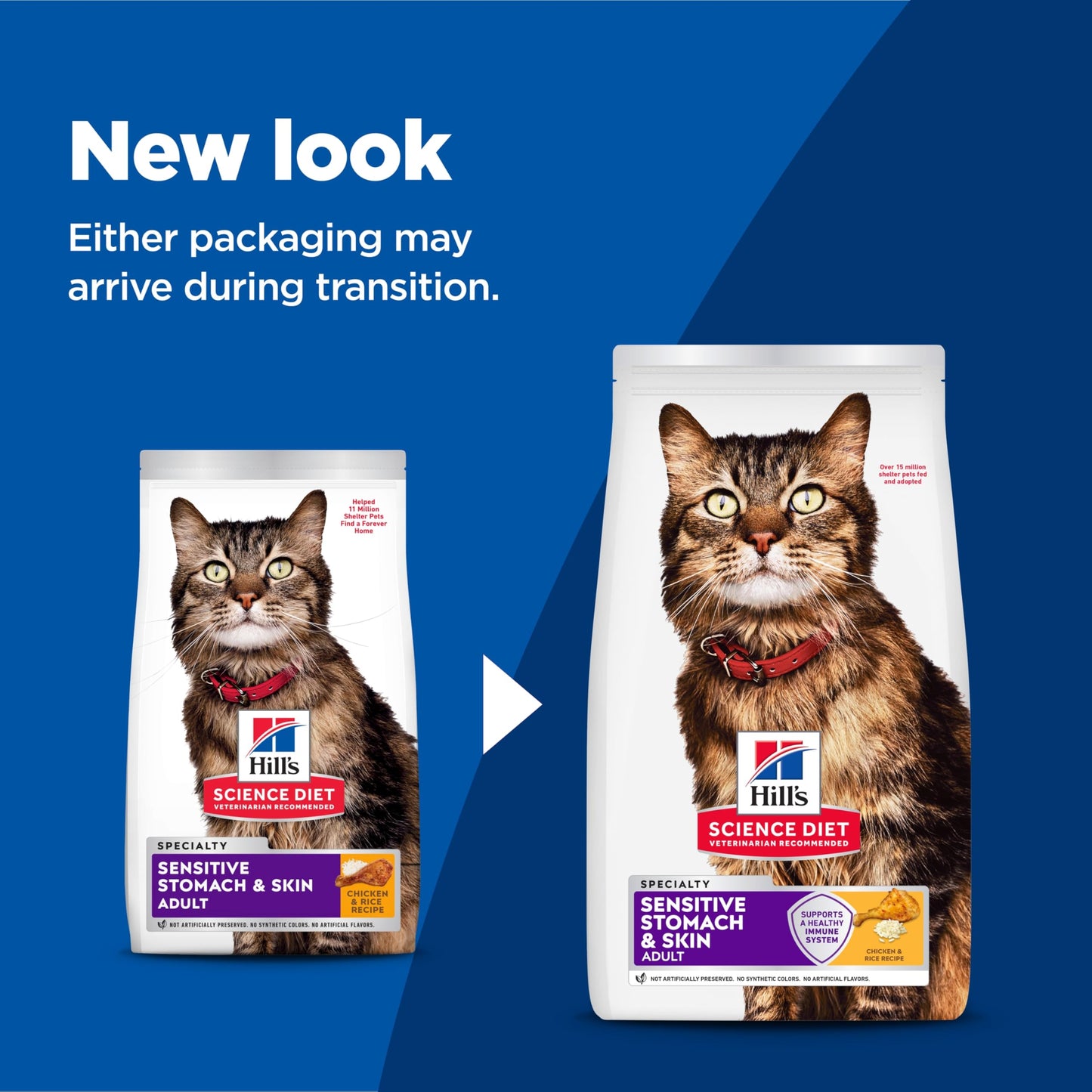 Hill's Science Diet Adult Sensitive Stomach & Skin Chicken & Rice Recipe Dry Cat Food 3.17 kg Bag 🍁 All In One Marketplace Canada