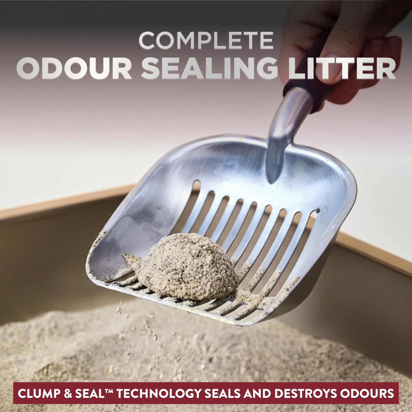 ARM & HAMMER Platinum Cat Litter Clump & Seal Complete Odour Sealing with 14 Days of Odour Control Multi-Cat, Hard Clumping Clay, 99.99% Dust Free 8.16kg (Pack of 1) 🍁 All In One Marketplace Canada